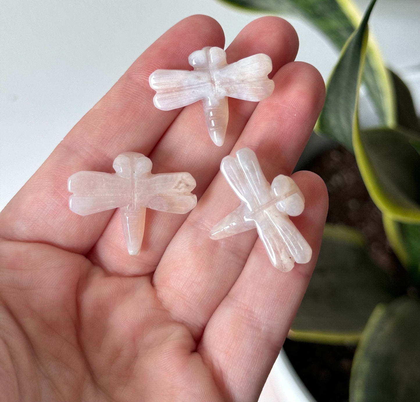 Gorgeous Mini Dragonfly Carvings Amazonite Rose Quartz Flower Agate Dragonflies