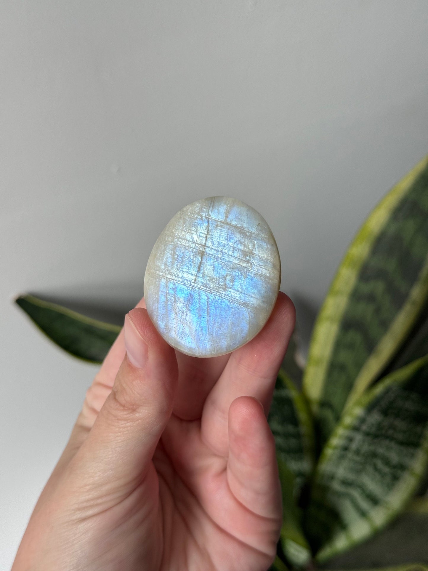 Gorgeous Flashy Moonstone Palm Stone with Blue Flash | Moonstone Palmstone
