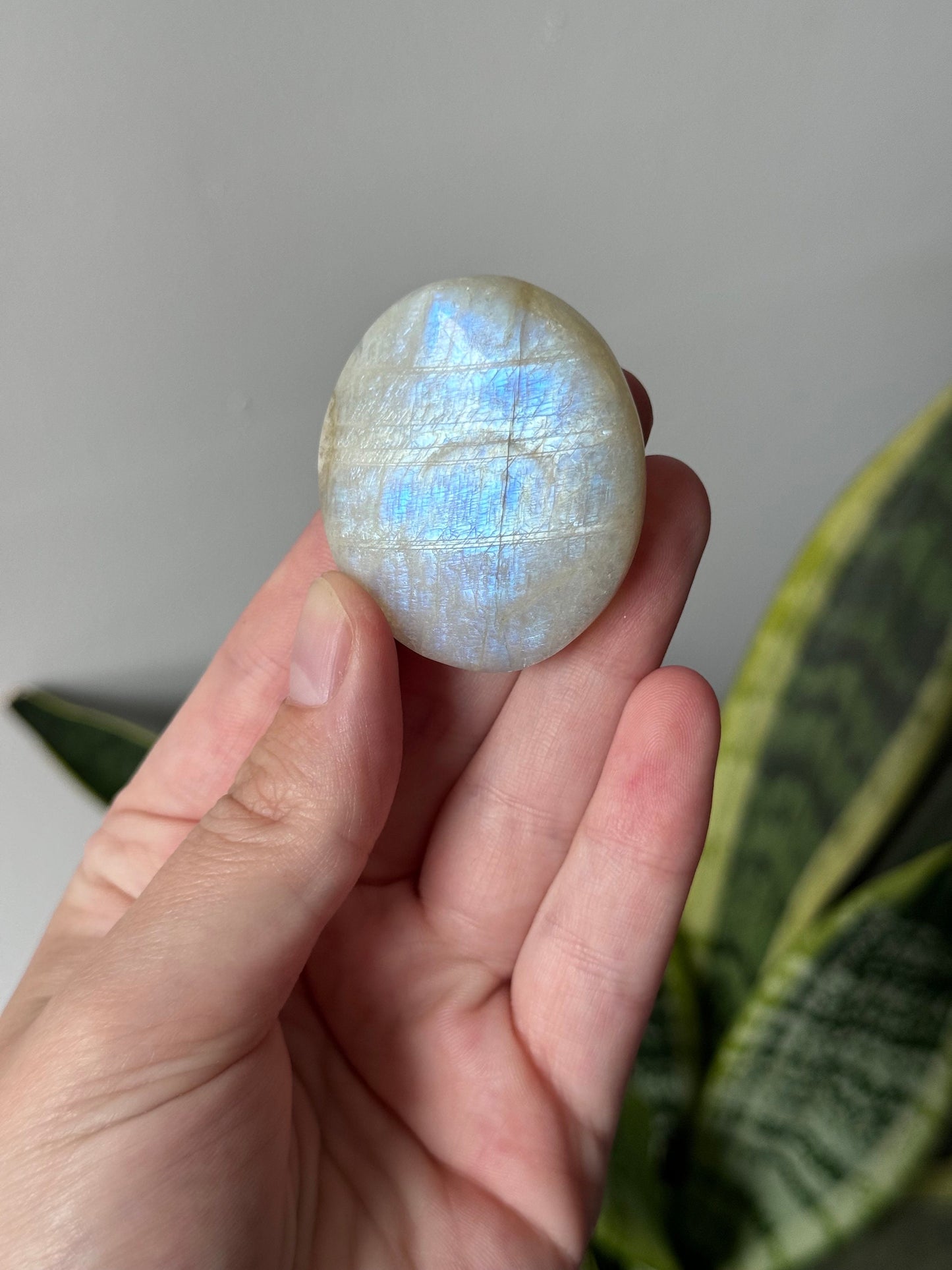 Gorgeous Flashy Moonstone Palm Stone with Blue Flash | Moonstone Palmstone