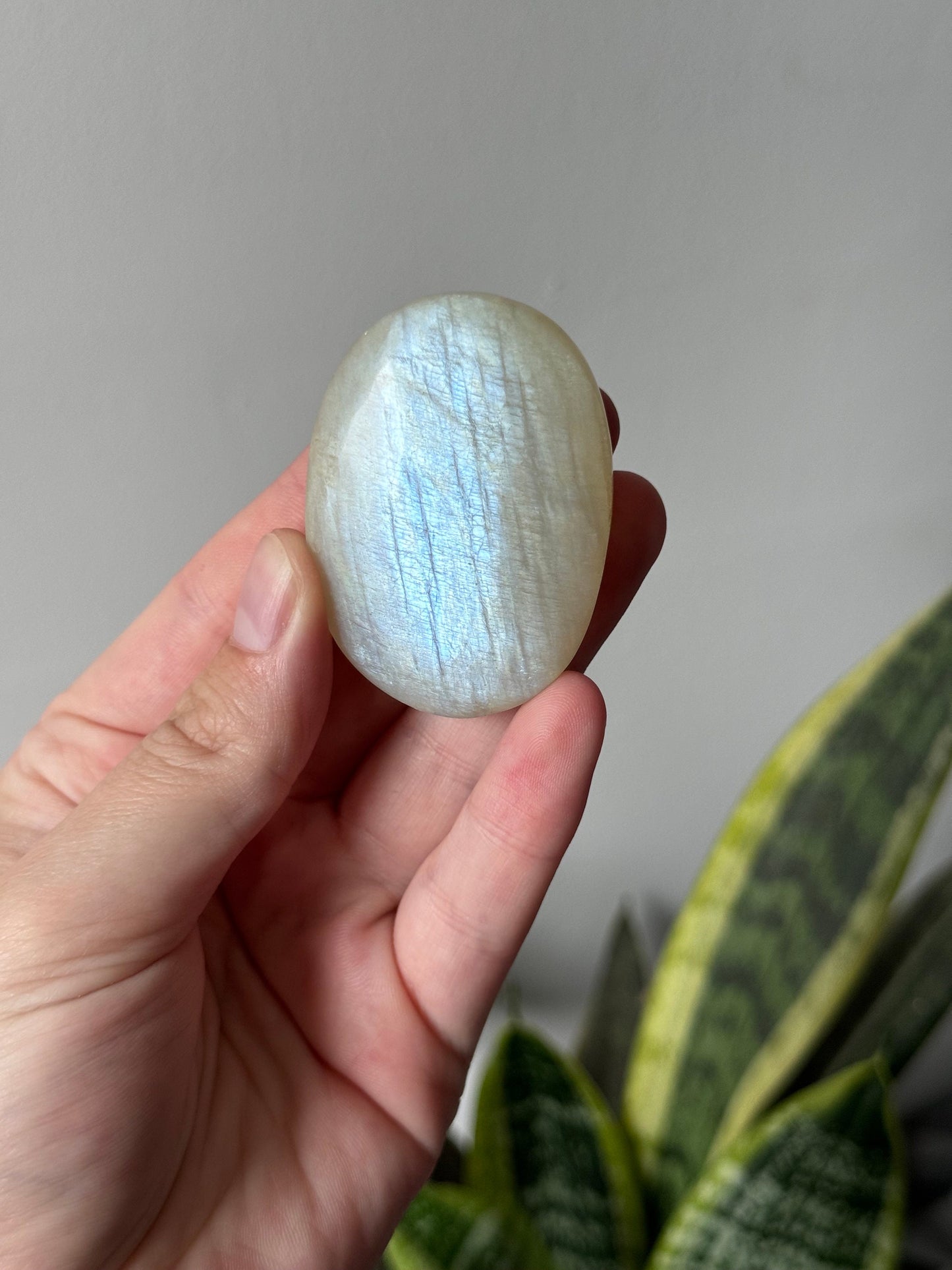 Gorgeous Flashy Moonstone Palm Stone with Blue Flash | Moonstone Palmstone