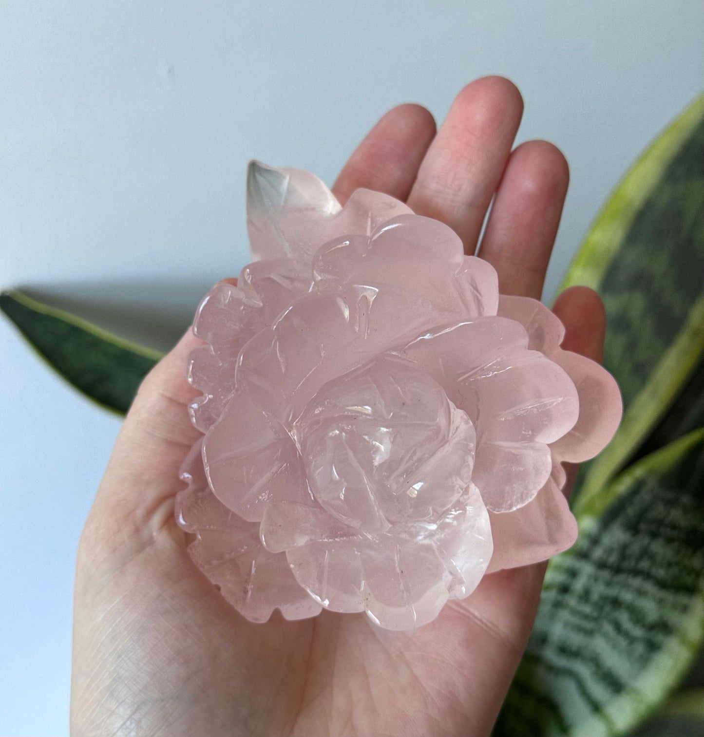 AAA Grade Rose Quartz Rose Carving | Hand Carved Rose Quartz Flower
