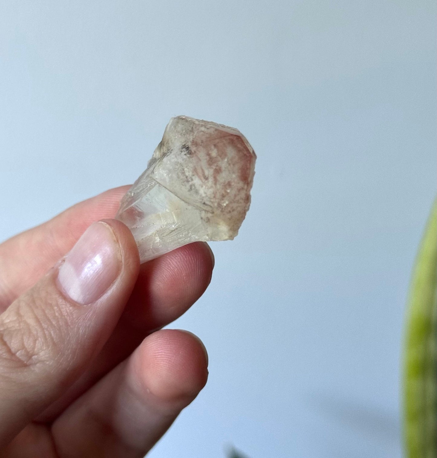 Beautiful Pink Lithium Scepter Point from Brazil | Red Capped Lithium Scepter Root