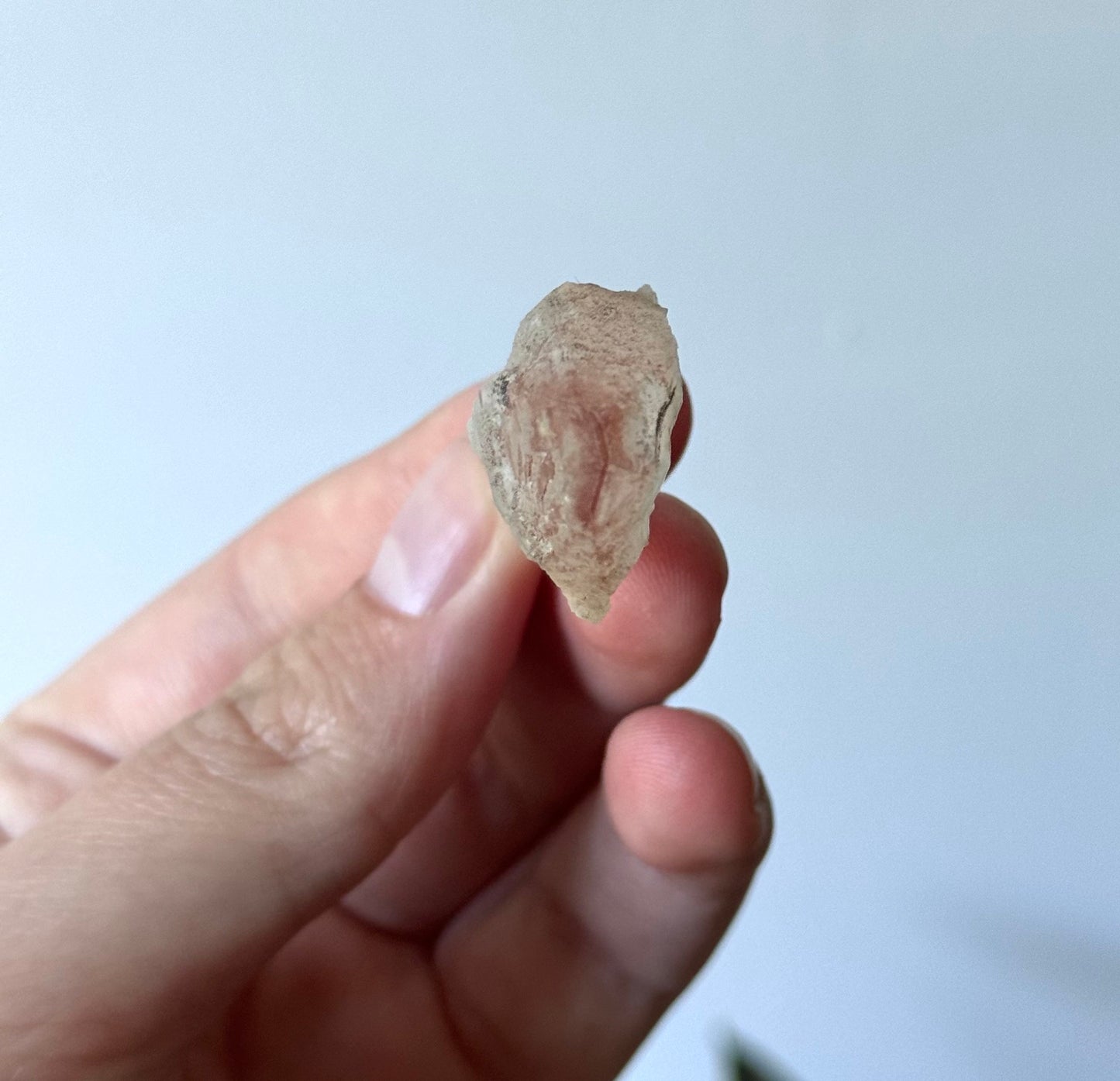 Beautiful Pink Lithium Scepter Point from Brazil | Red Capped Lithium Scepter Root