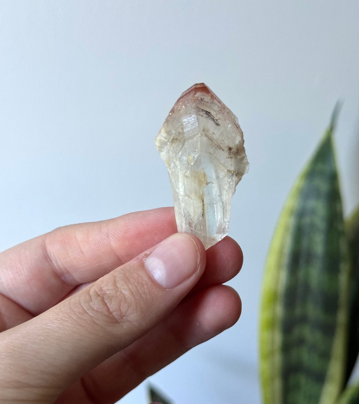 Beautiful Pink Lithium Scepter Point from Brazil | Red Capped Lithium Scepter Root
