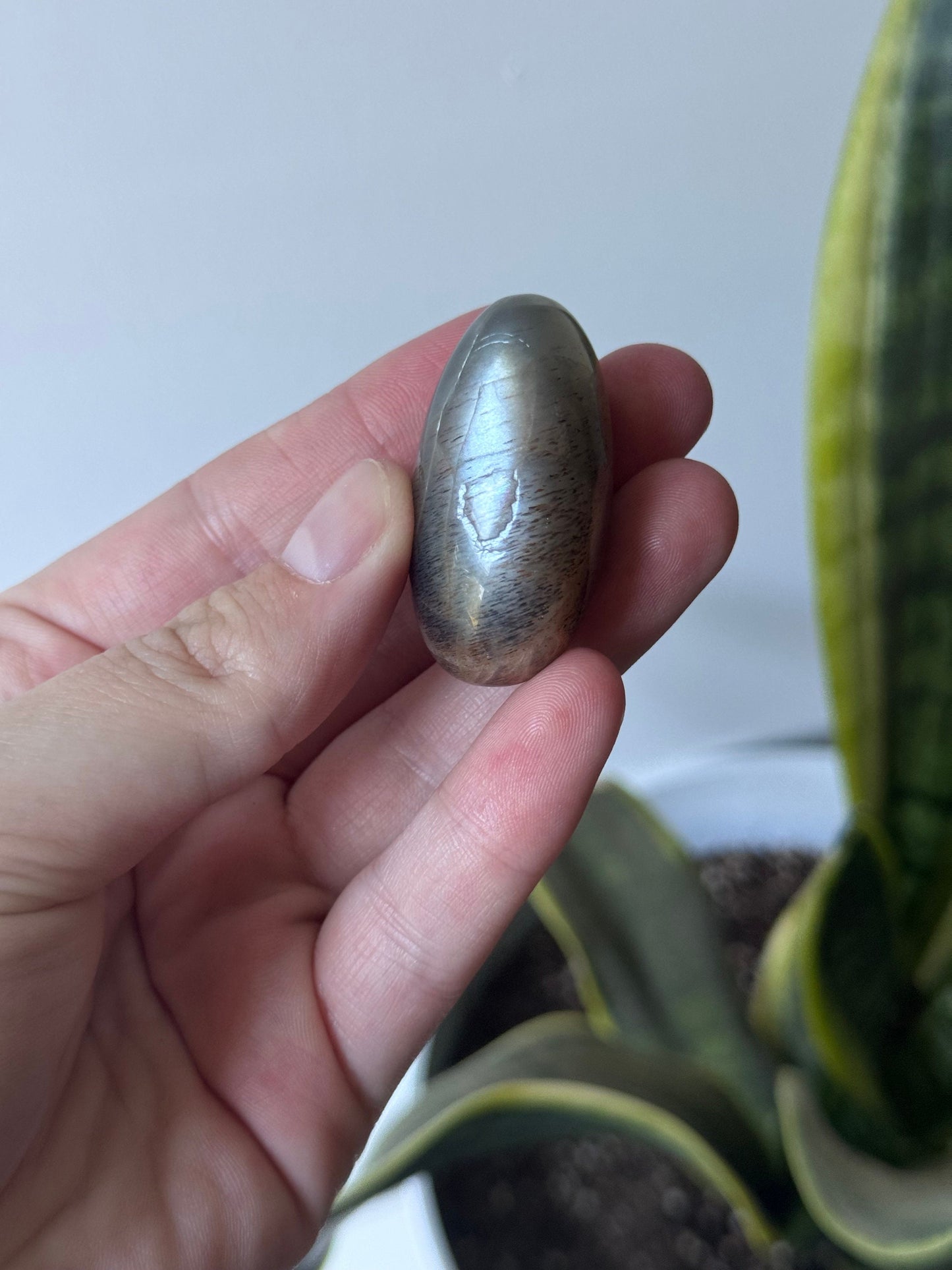 Gorgeous Chocolate Moonstone Shiva with White Flash | Brown Moonstone Oval
