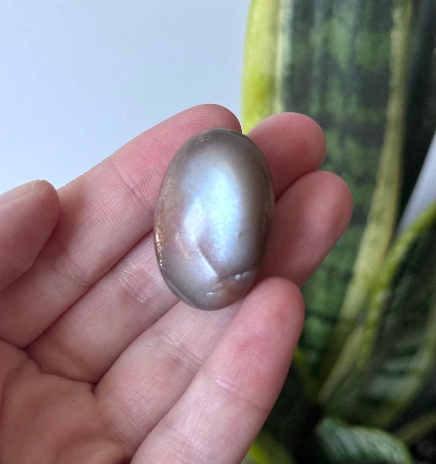 Gorgeous Chocolate Moonstone Shiva with White Flash | Brown Moonstone Oval