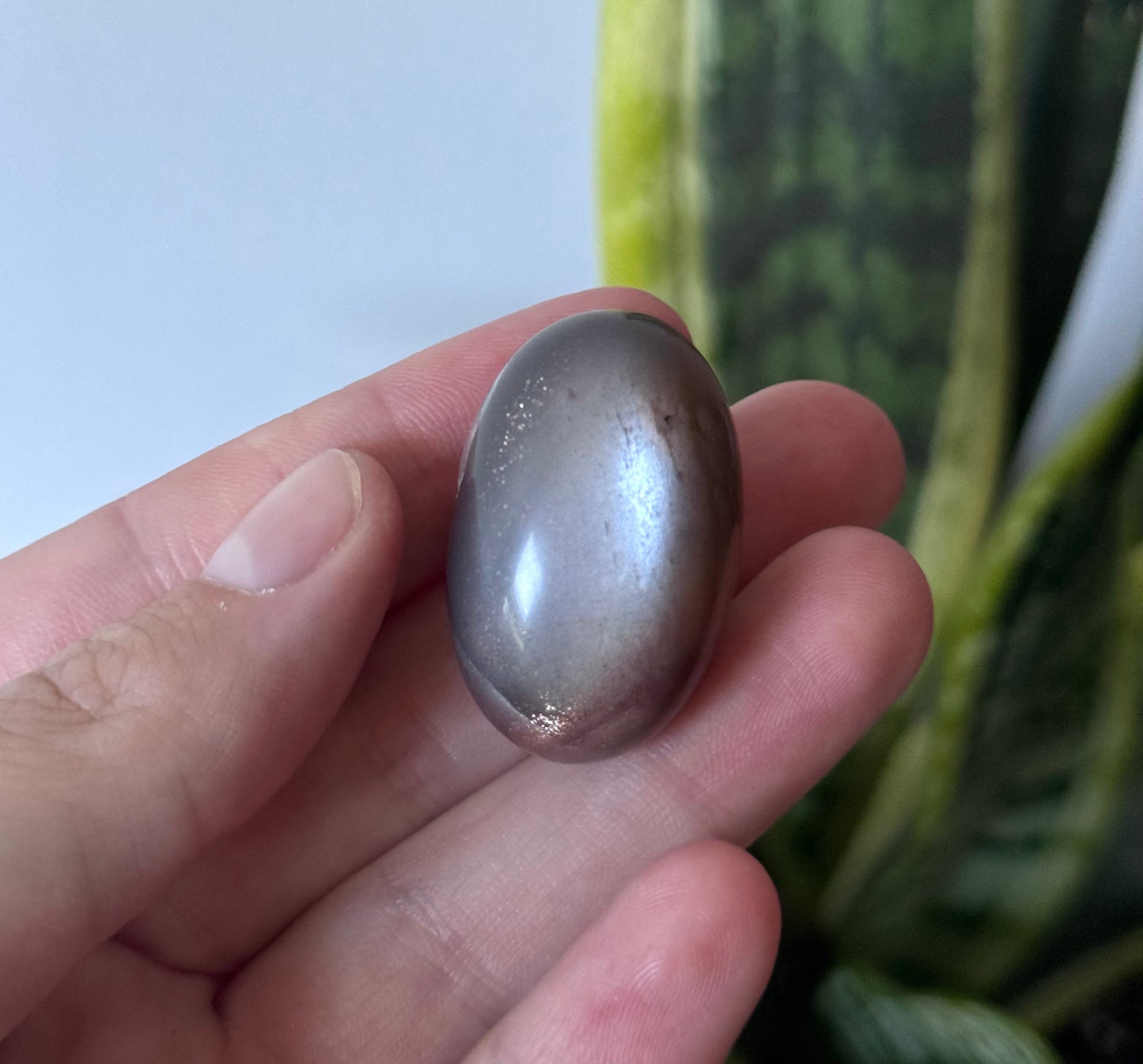 Gorgeous Chocolate Moonstone Shiva with White Flash | Brown Moonstone Oval
