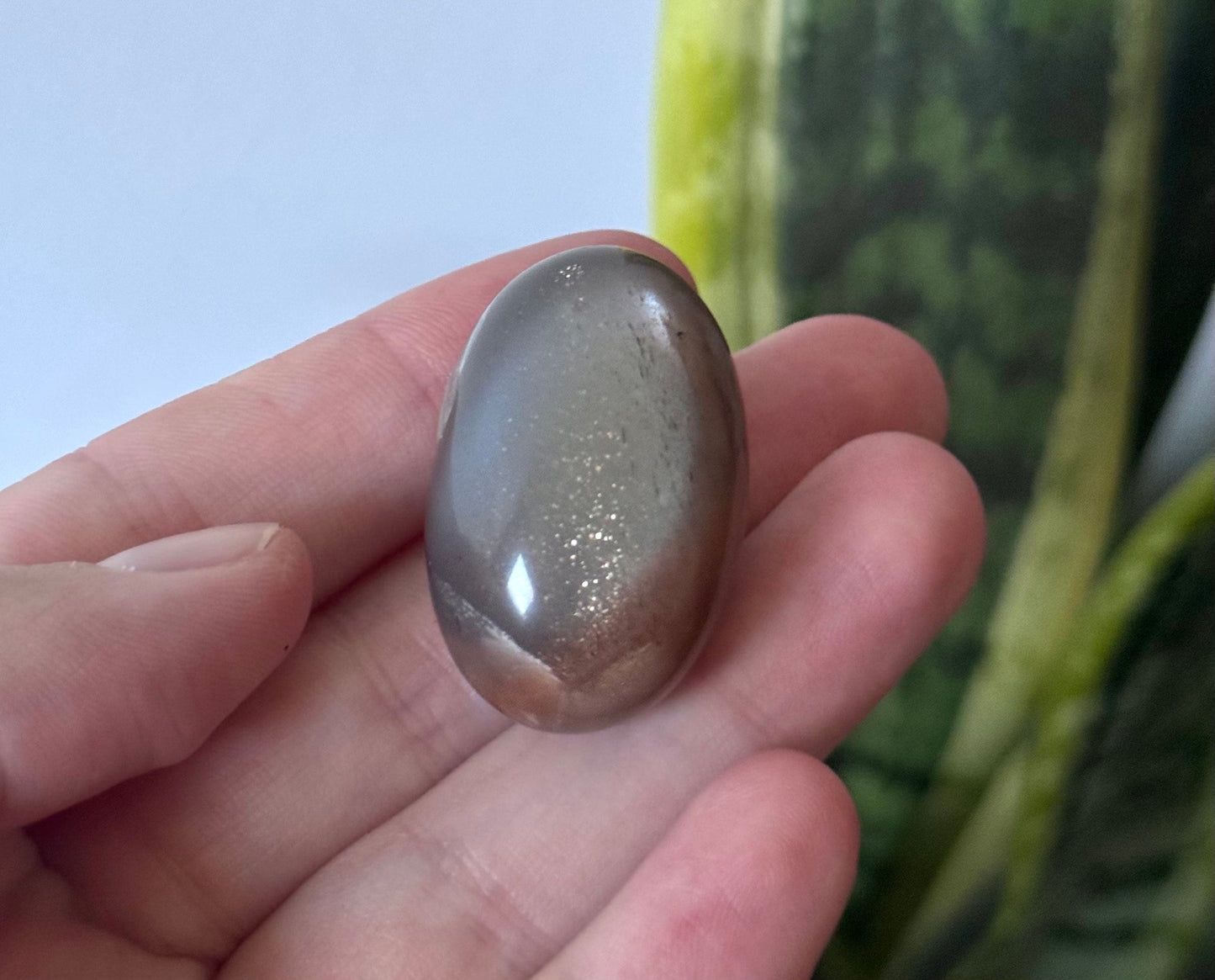 Gorgeous Chocolate Moonstone Shiva with White Flash | Brown Moonstone Oval