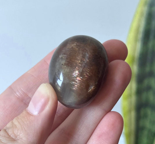 Gorgeous Chocolate Moonstone Large Tumble with White Flash | Brown Moonstone Oval