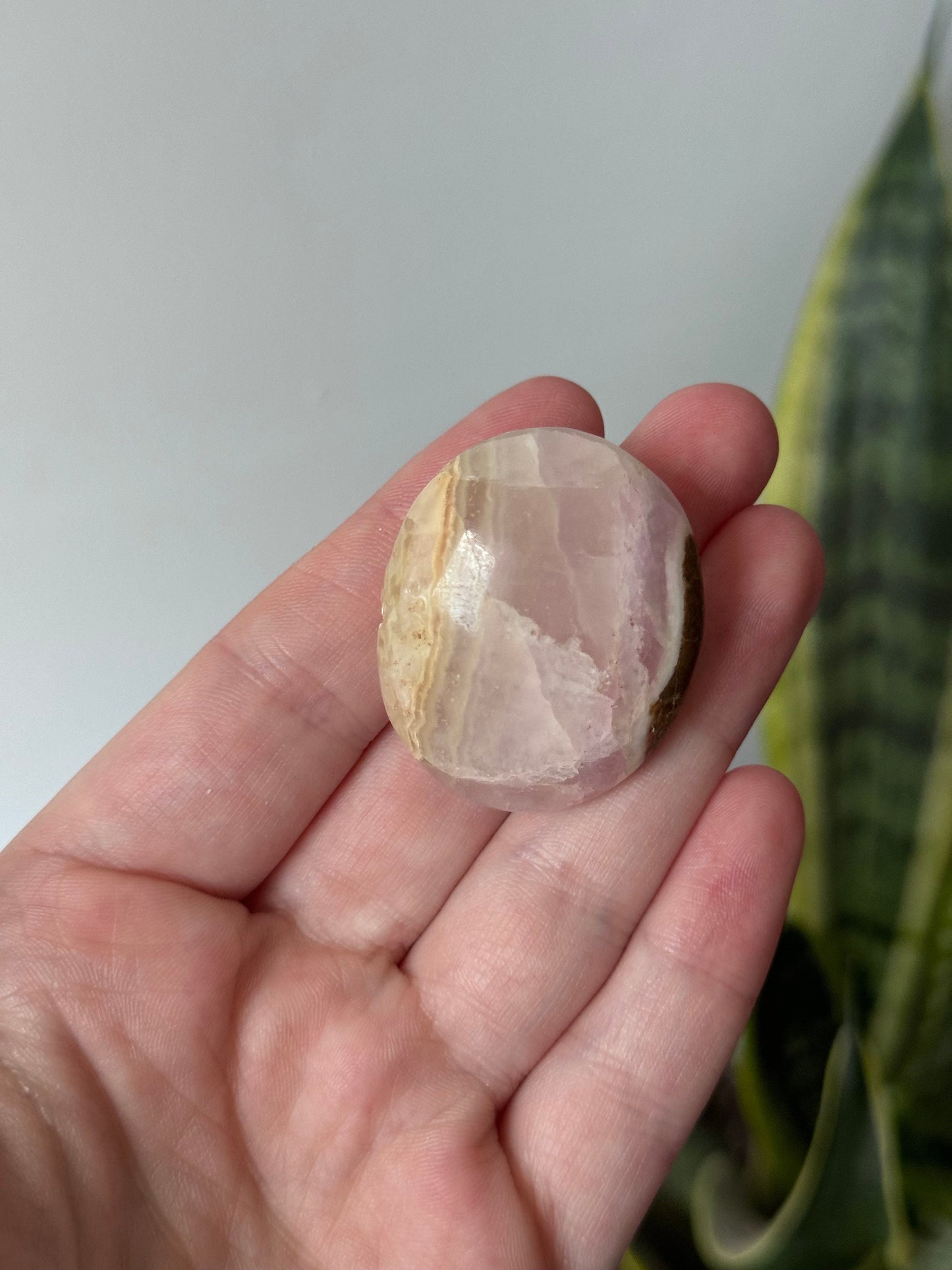 Beautiful Small Pink Aragonite Palm Stone From Pakistan
