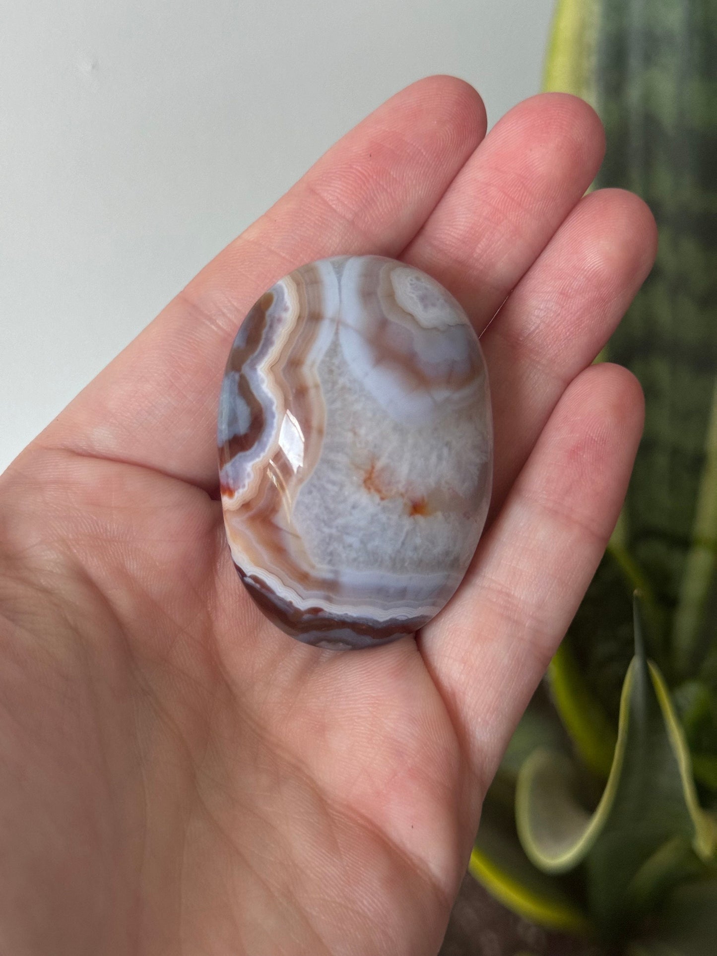 Stunning Blue Flower Agate Palmstone With Banding | Black Flower Agate Palm Stone
