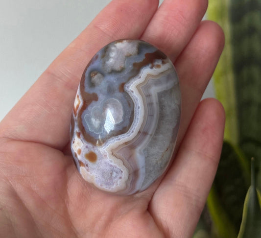 Stunning Blue Flower Agate Palmstone With Banding | Black Flower Agate Palm Stone