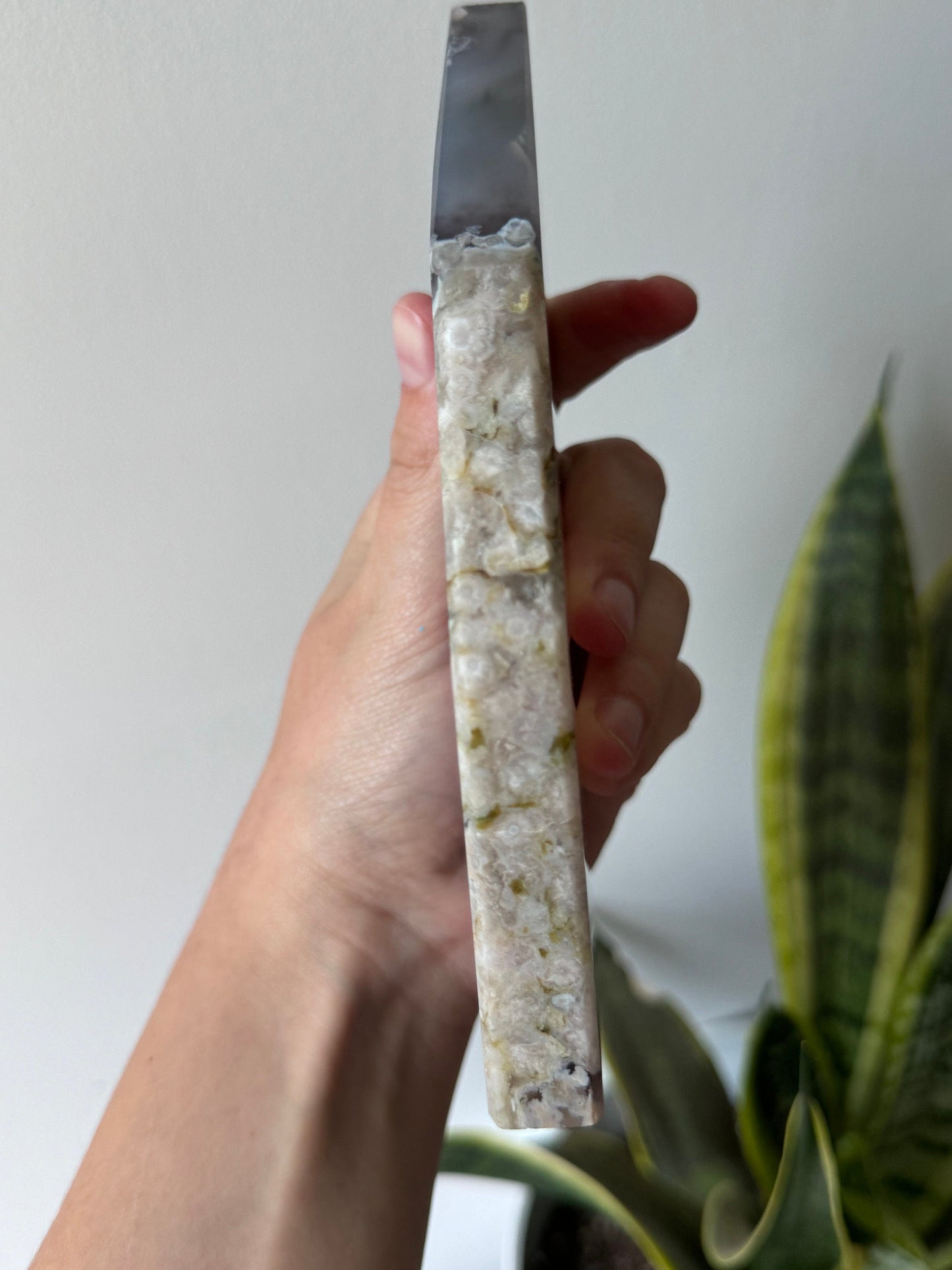 High Quality Blue Flower Agate Slab | AAA Blue and Black Flower Agate Slice