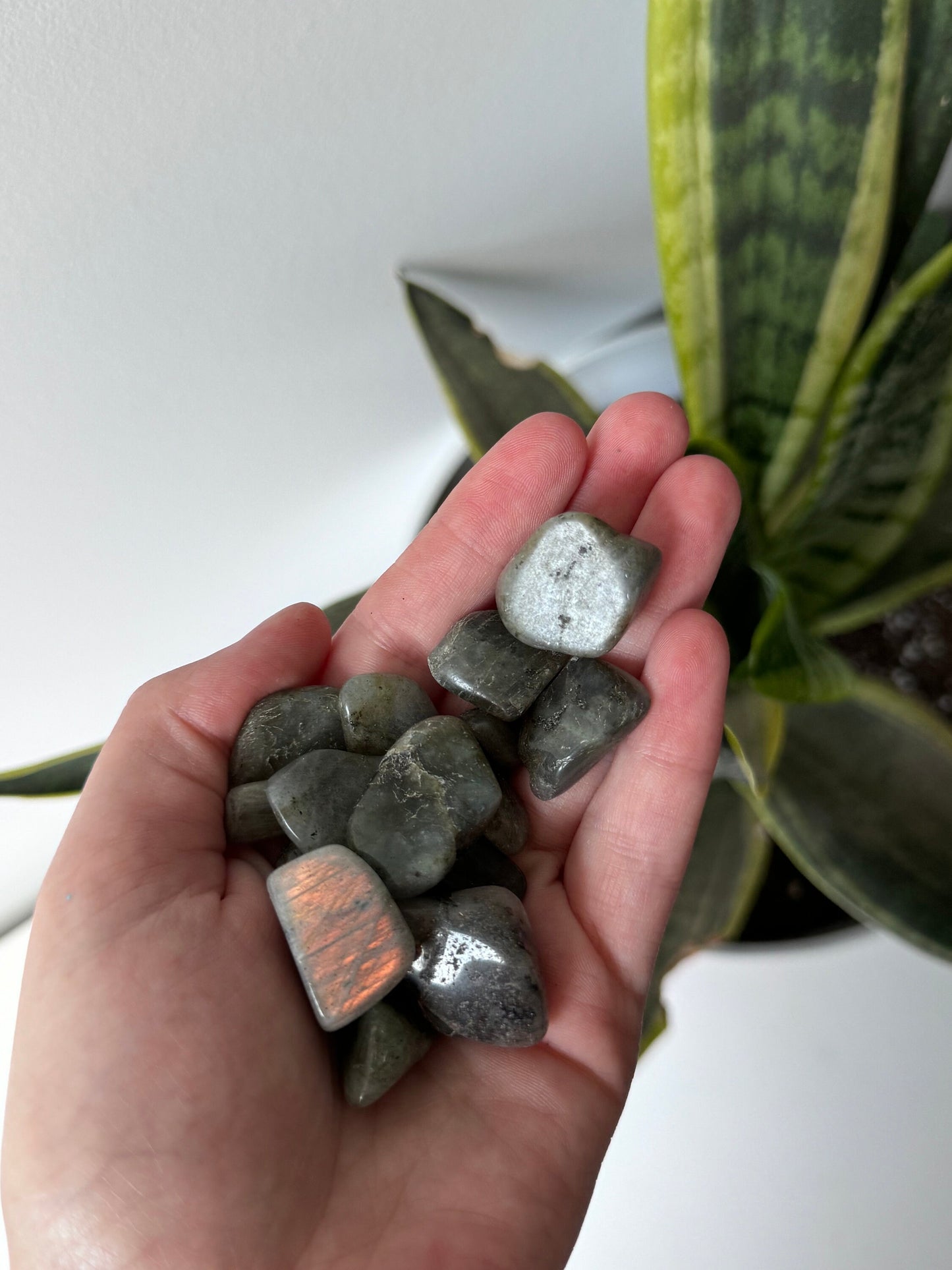 AA Labradorite Tumbled Stones from Madagascar