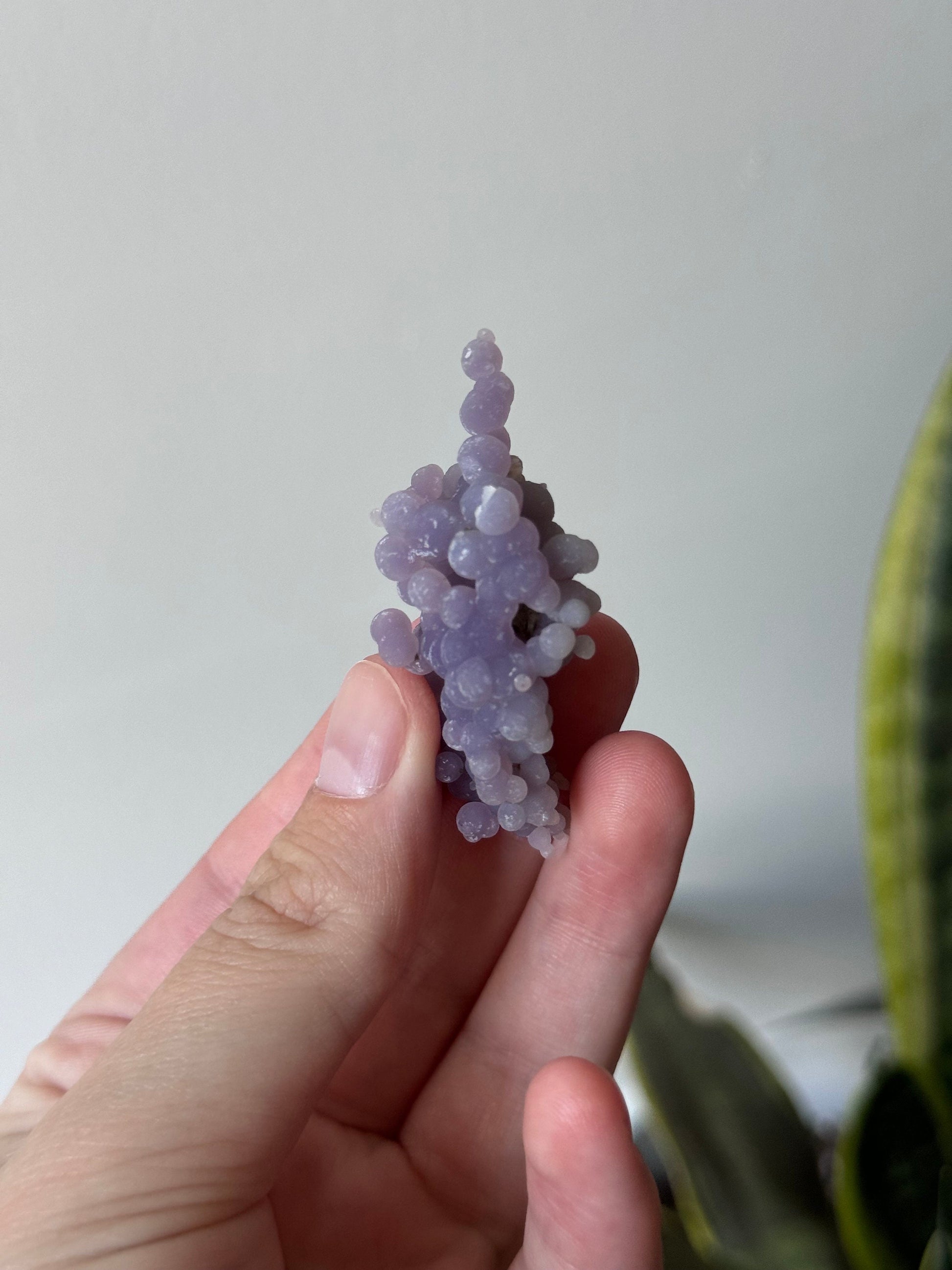 Stunning Raw Grape Agate Specimen from Indonesia