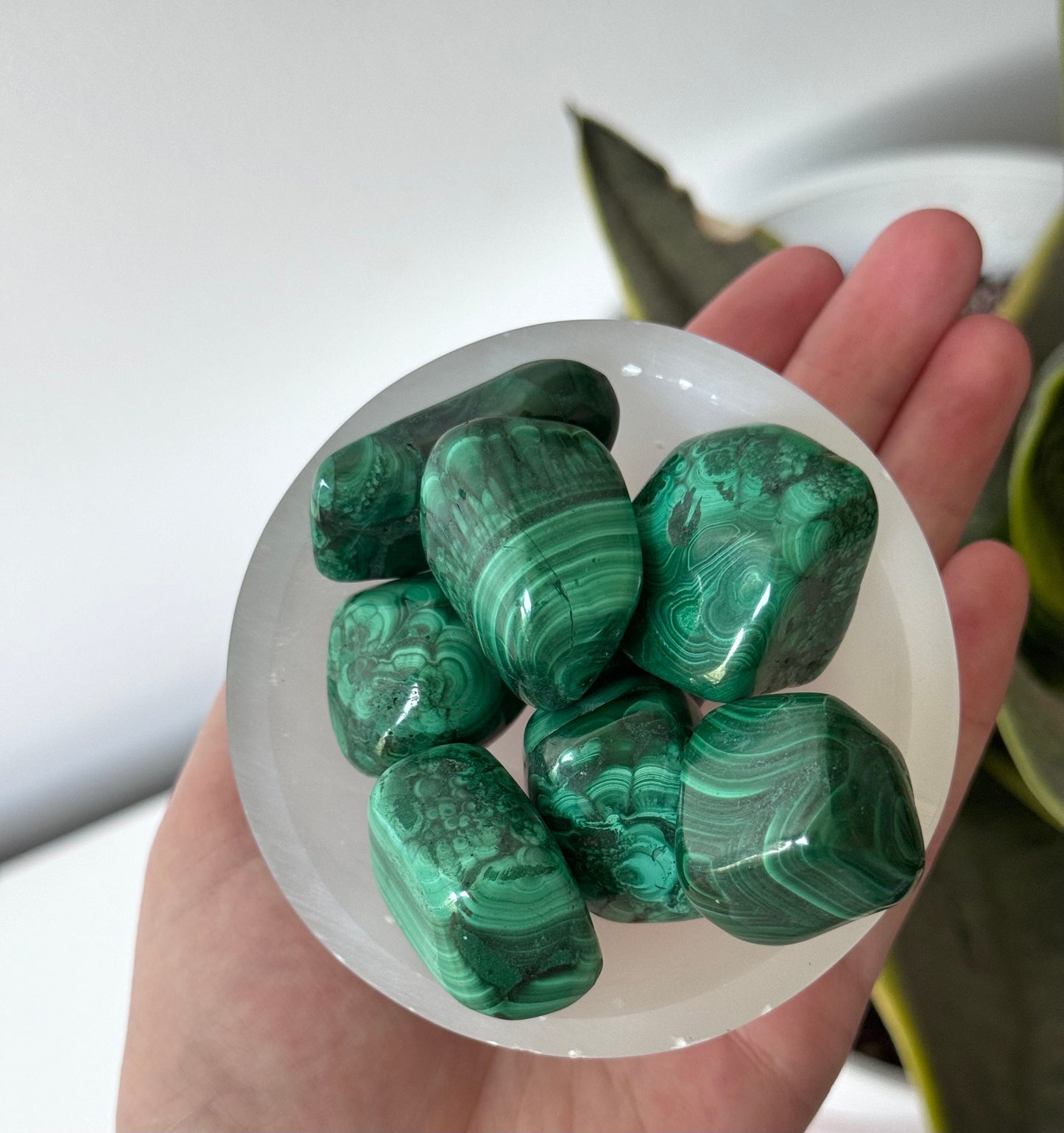 Beautiful Large Malachite Tumbled Stones | Banded Malachite Tumbles