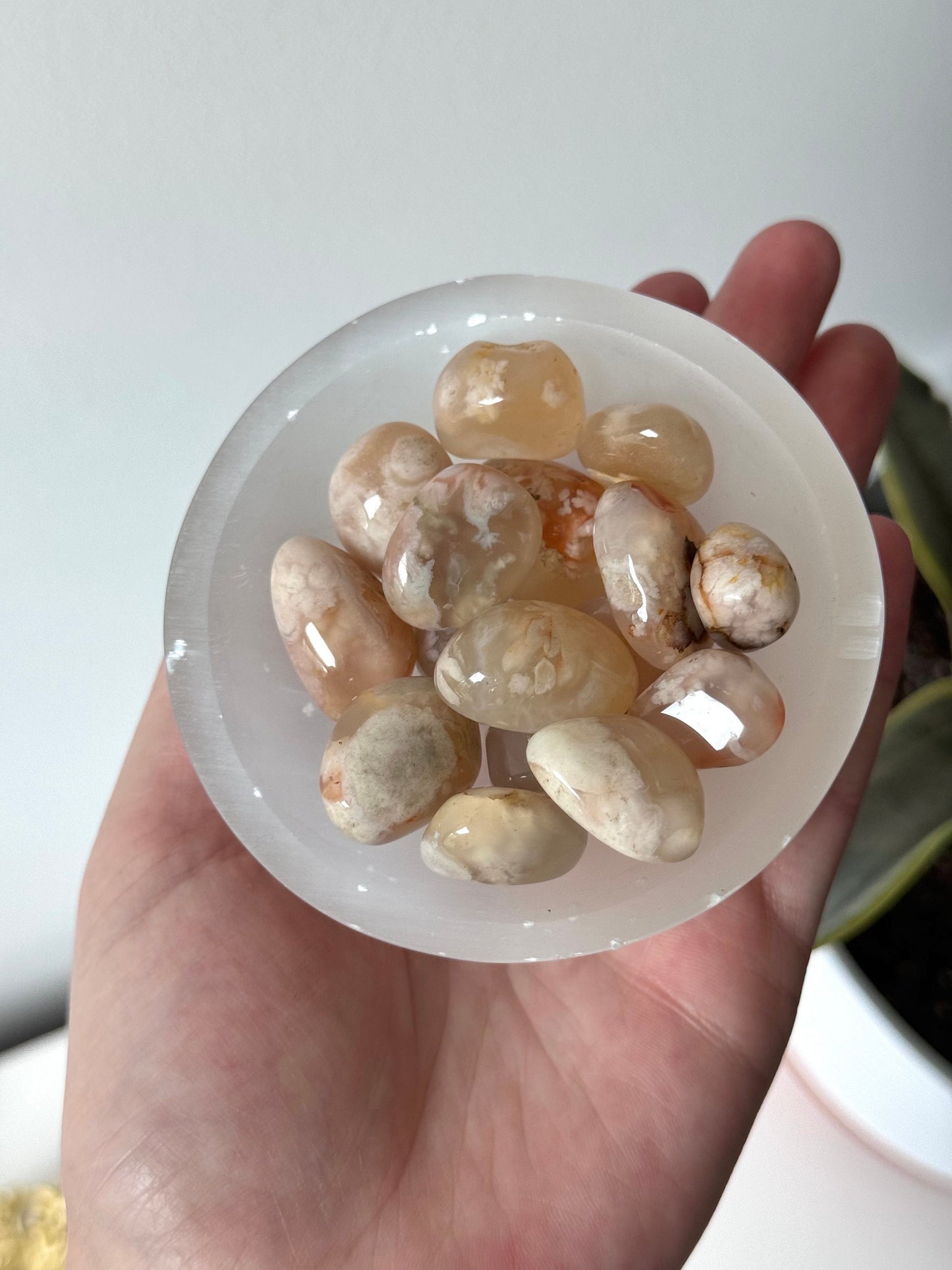 Pretty Flower Agate Tumbled Stones | Small Flower Agate Tumbles