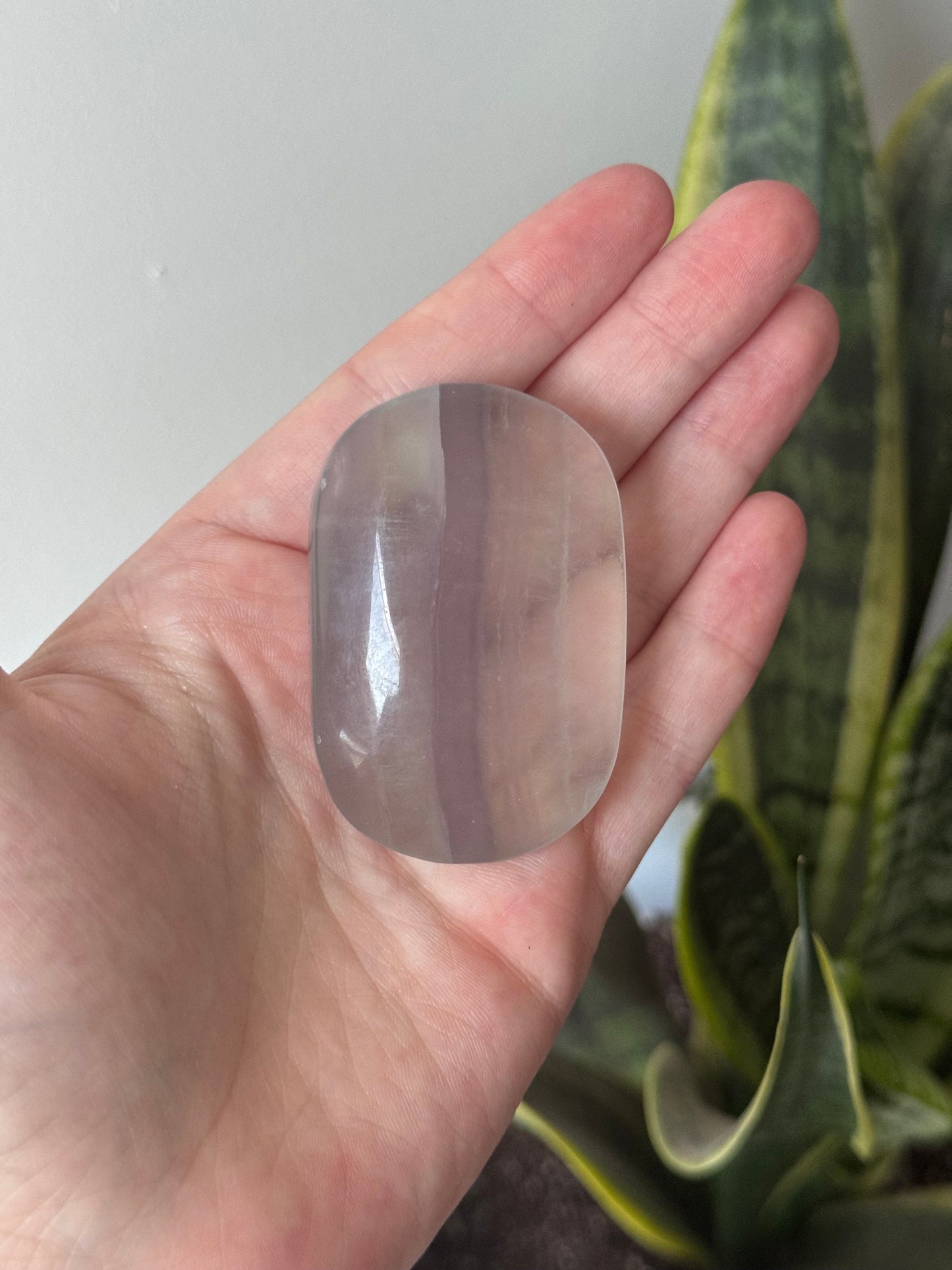 Beautiful Clear Fluorite Palm Stone | Banded Candy Fluorite Palm