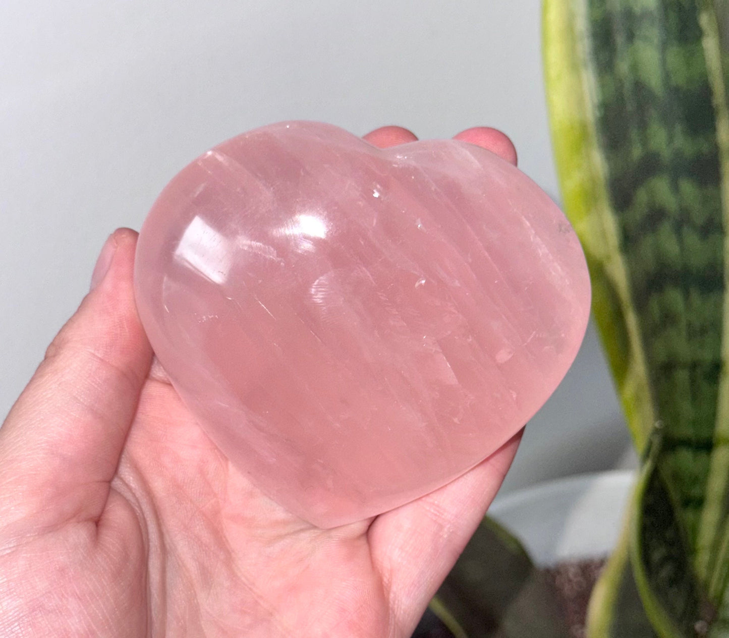 High Quality Rose Quartz Heart Carving with Star Flash | Gemmy Rose Quartz Puffy Heart Asterism
