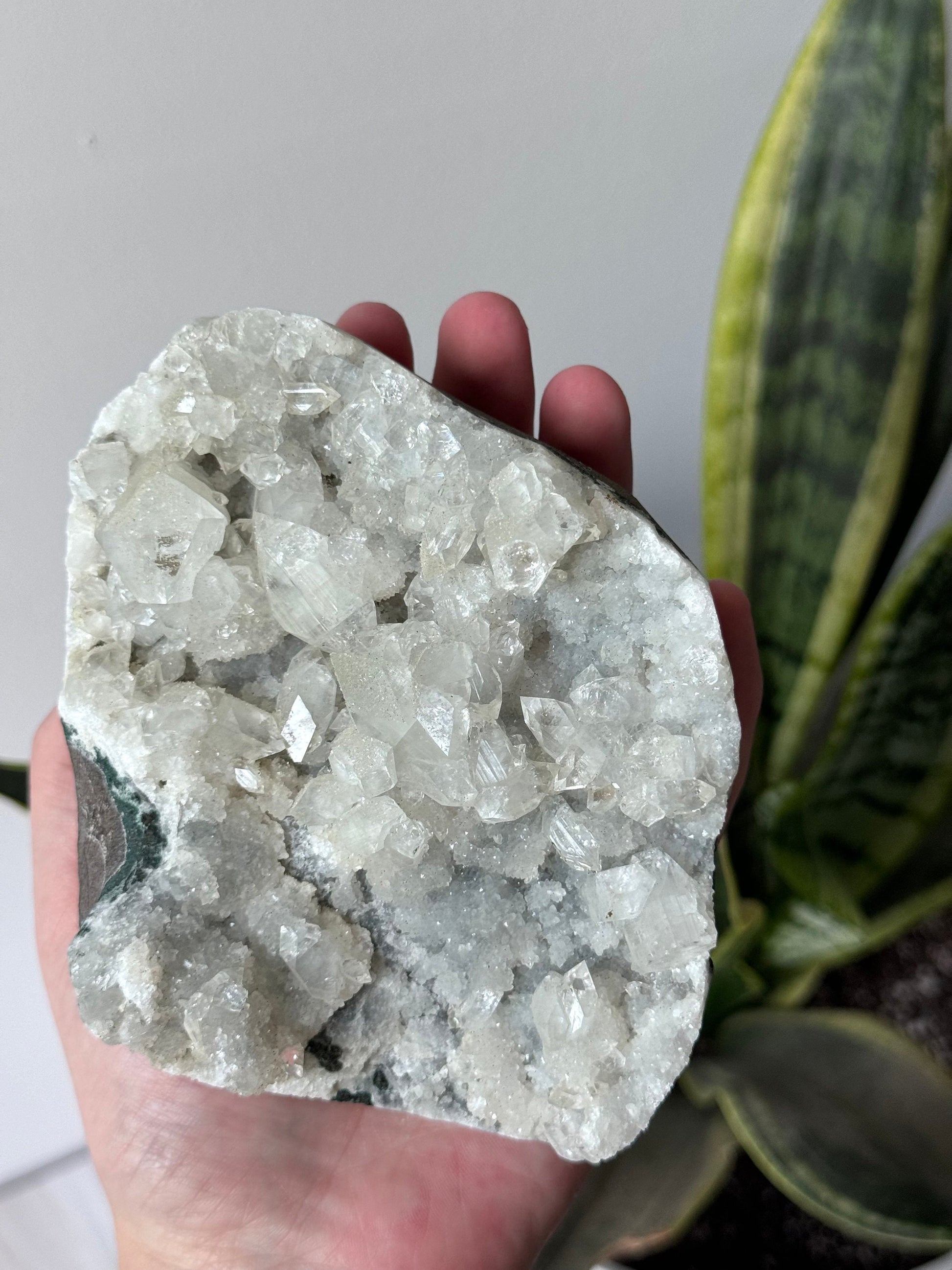 Gorgeous Raw Apophyllite on Chalcedony Cluster from India