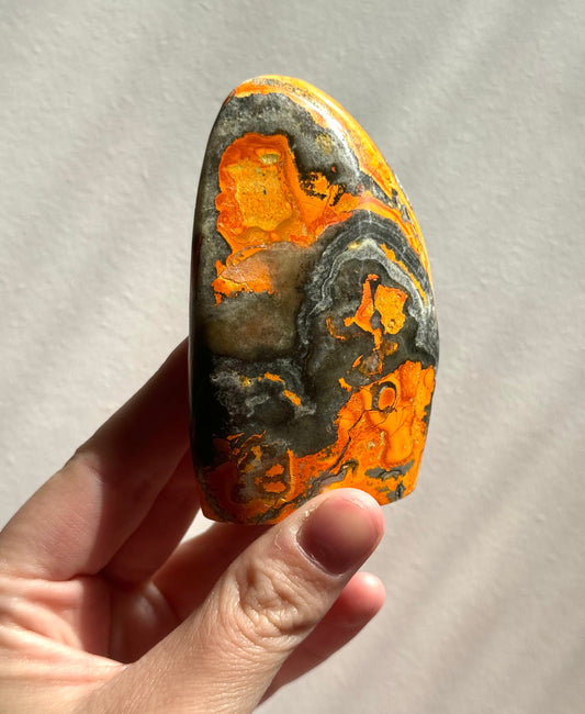 Stunning Bumblebee Jasper Freeform from Indonesia