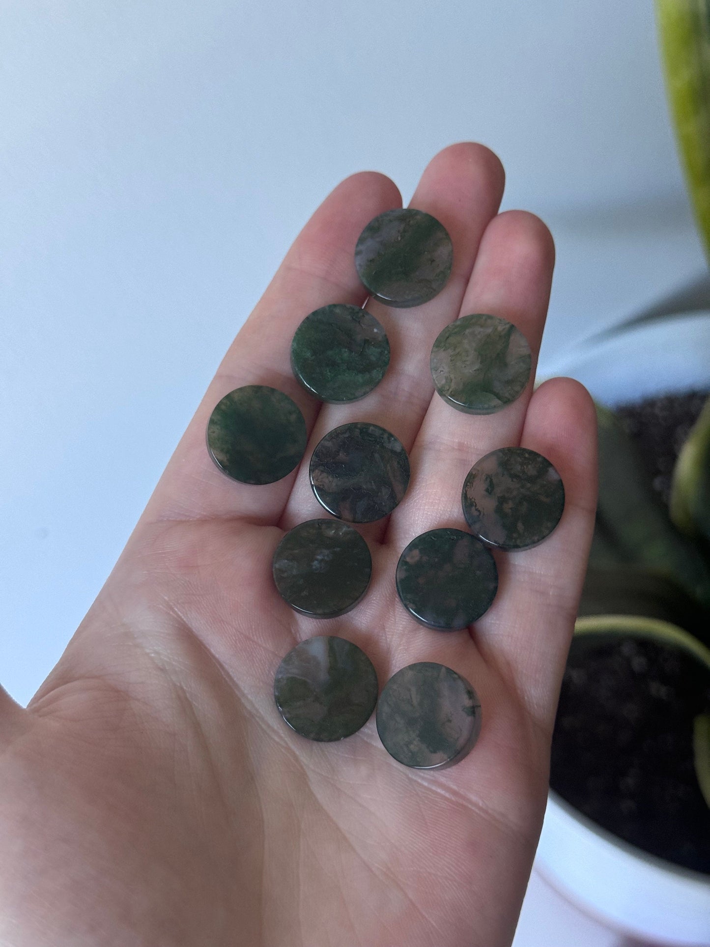 Adorable Moss Agate Mini Rounds | Small Moss Agate Coin Carvings