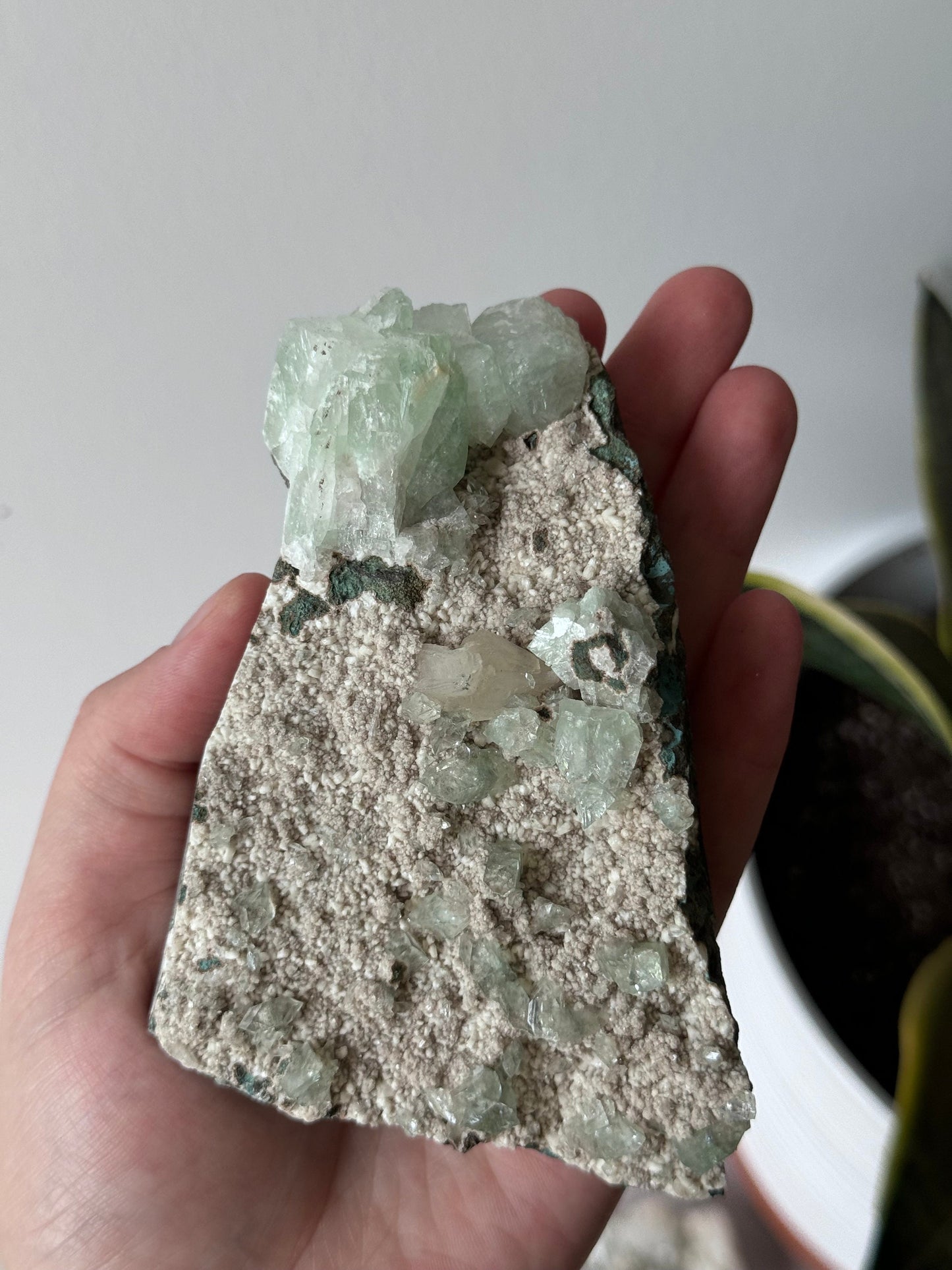 Stunning Green Apophyllite on Scolecite Specimen from India | Green Apophyllite on Scolecite Cluster
