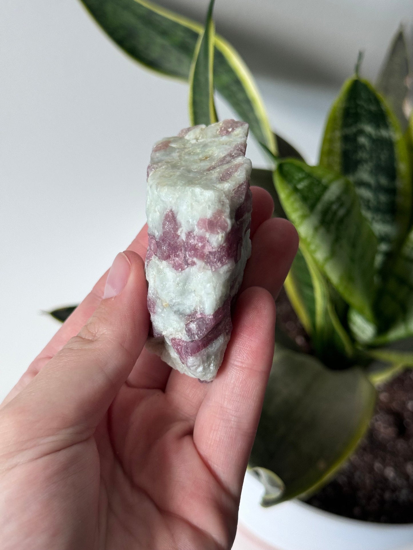Gorgeous Pink Tourmaline on Albite with Aquamarine Specimen from Brazil
