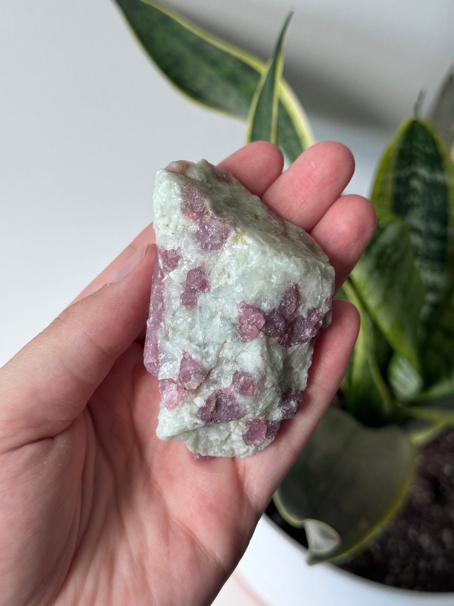 Gorgeous Pink Tourmaline on Albite with Aquamarine Specimen from Brazil
