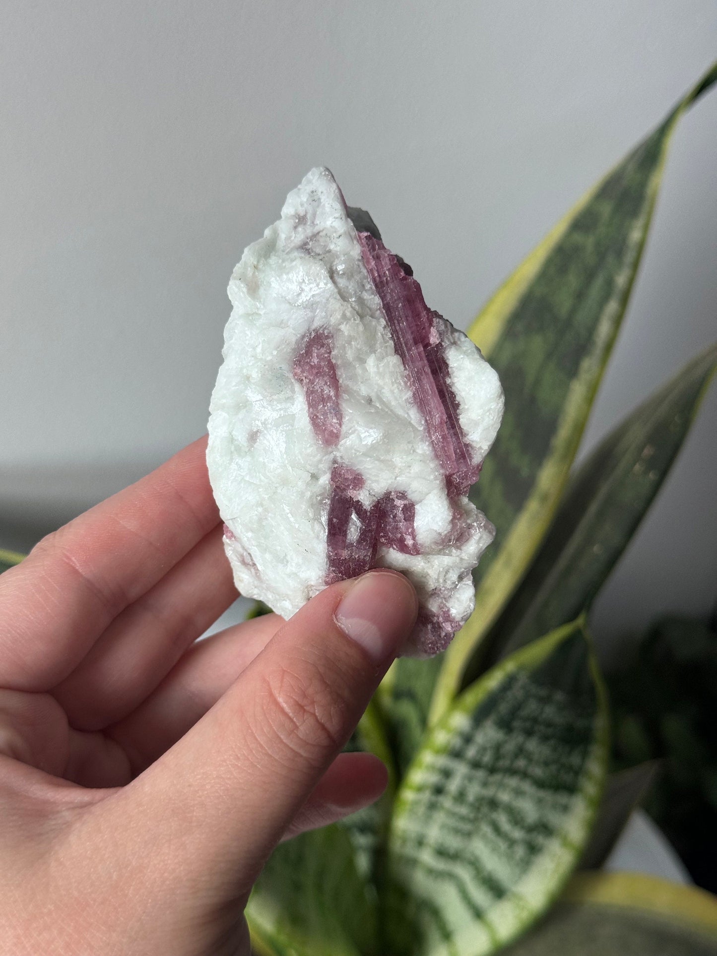 Gorgeous Pink Tourmaline on Albite with Aquamarine Specimen from Brazil