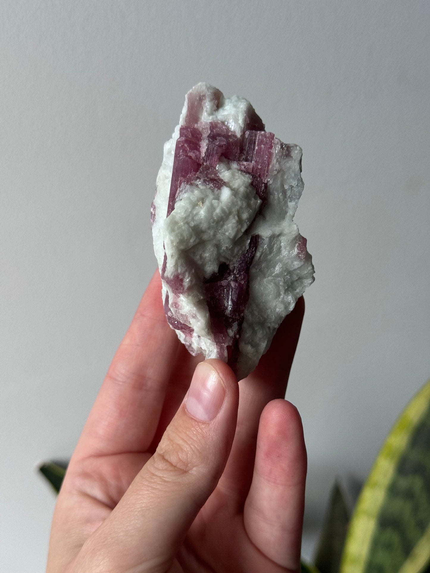Gorgeous Pink Tourmaline on Albite with Aquamarine Specimen from Brazil