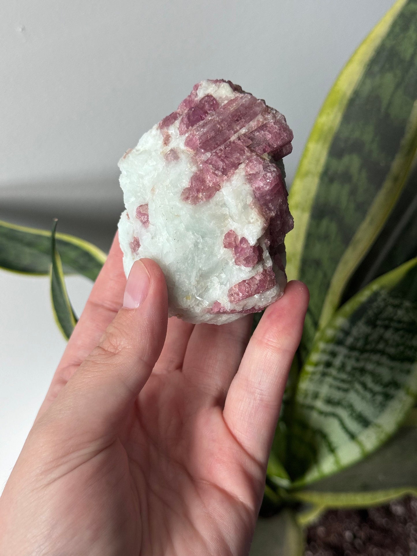 Gorgeous Pink Tourmaline on Albite with Aquamarine Specimen from Brazil