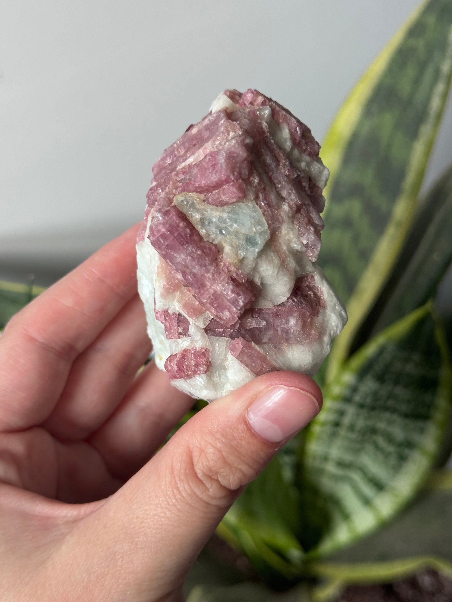 Gorgeous Pink Tourmaline on Albite with Aquamarine Specimen from Brazil