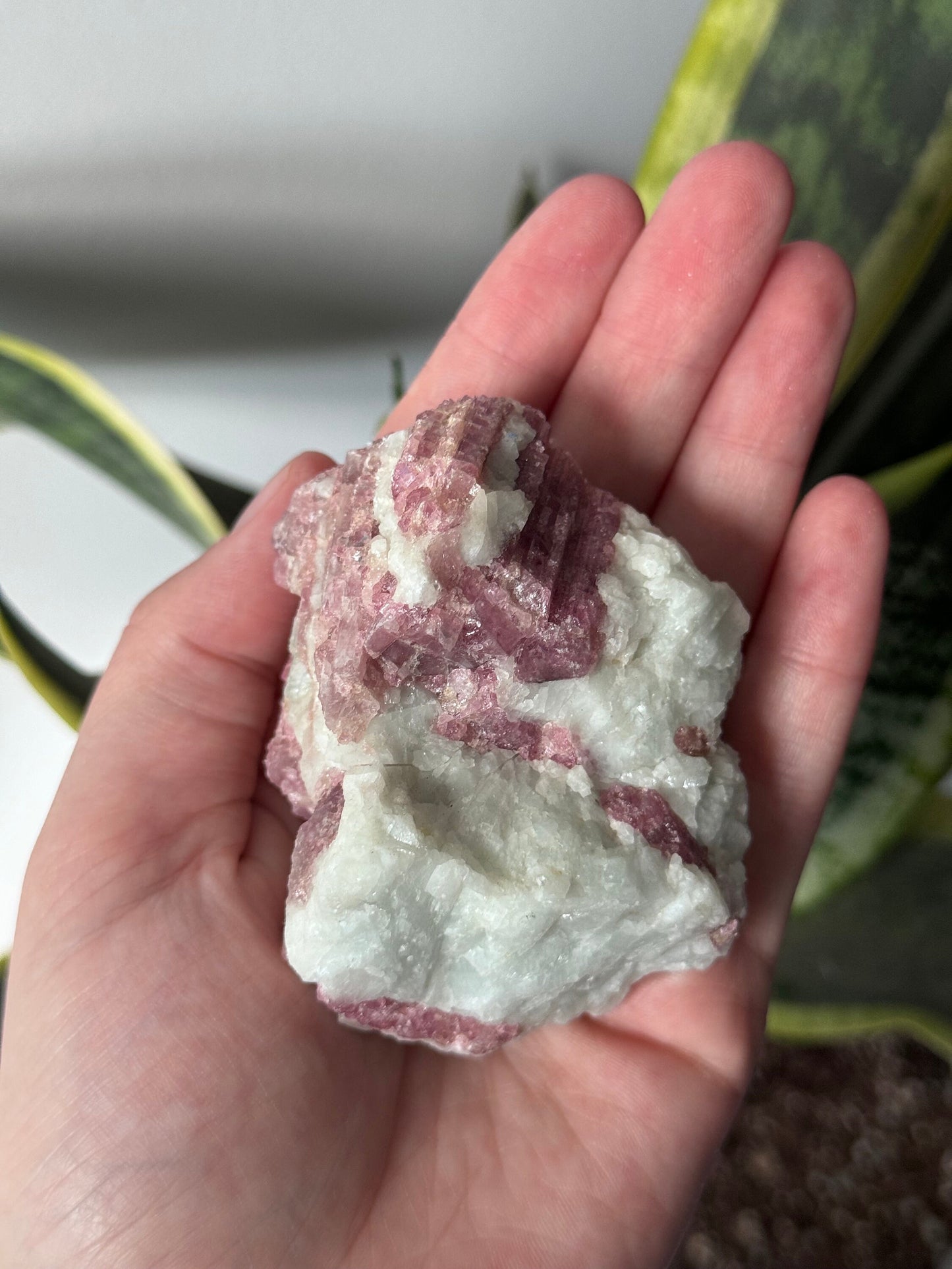 Gorgeous Pink Tourmaline on Albite with Aquamarine Specimen from Brazil