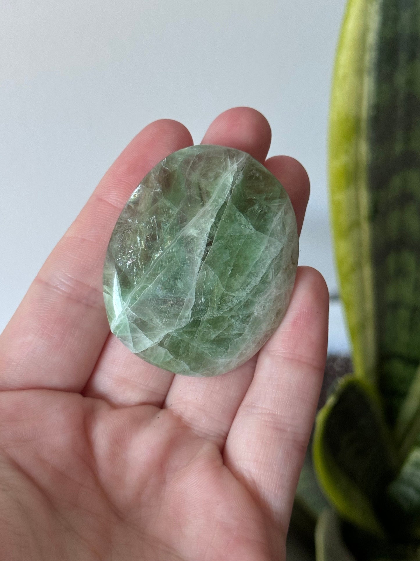 Beautiful Fluorite Flat Stones (You Pick) | Fluorite Round Palmstones