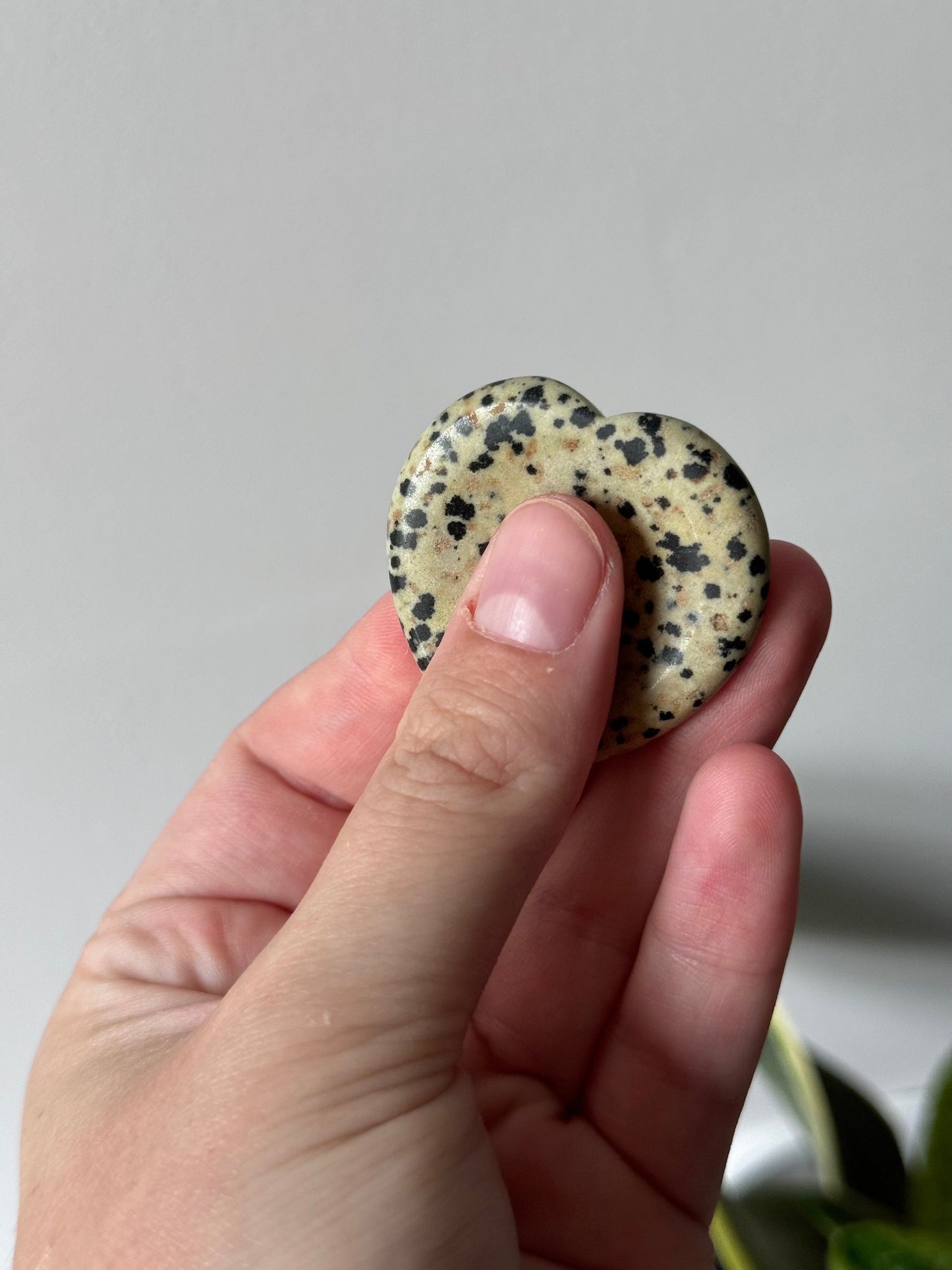 Beautiful Dalmatian Jasper Worry Stone Heart Carving | Touch Stone Pocket Stone Thumb Stone