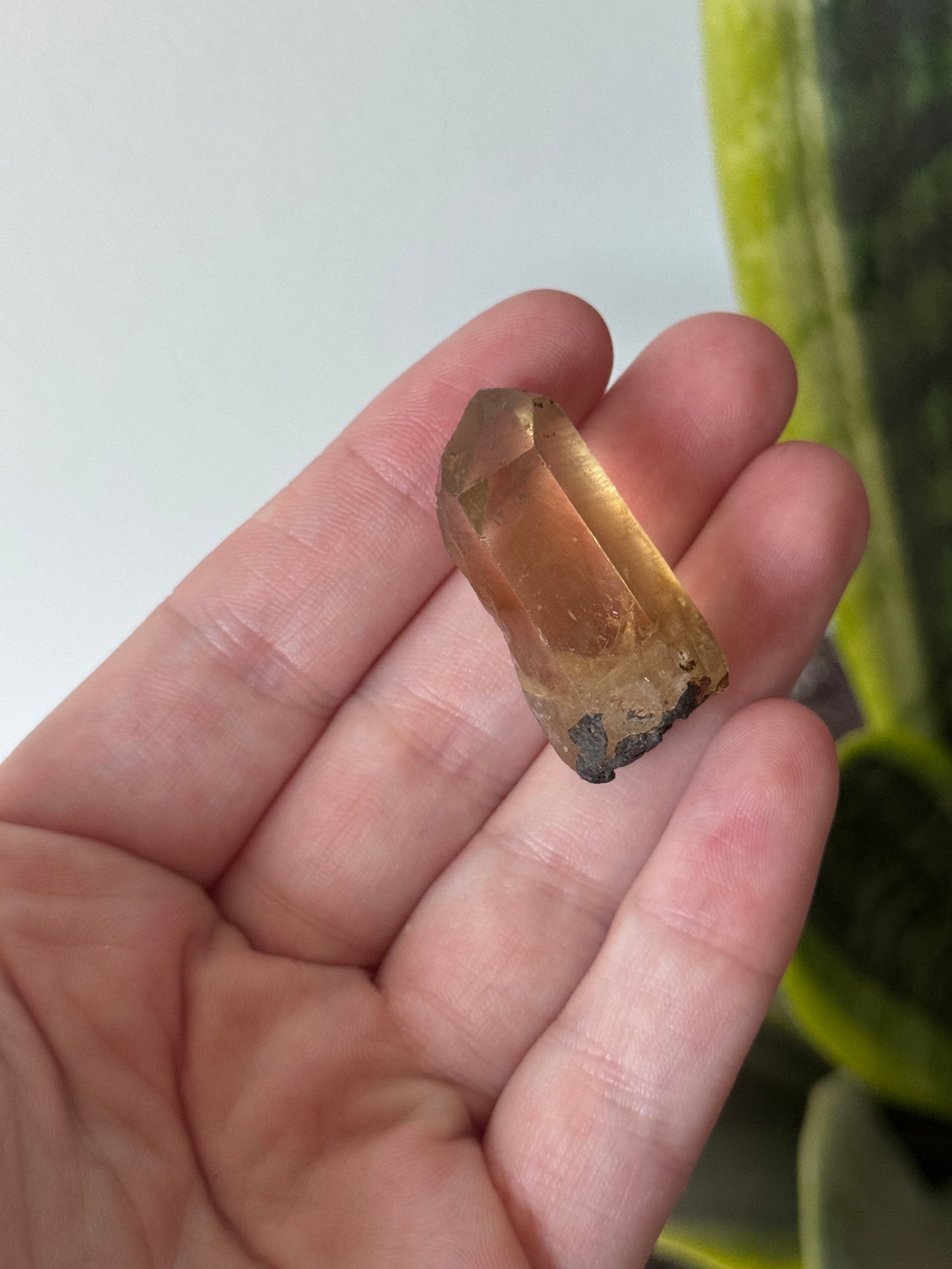 Gorgeous Raw Citrine Point from Brazil | Mini Natural Citrine Point