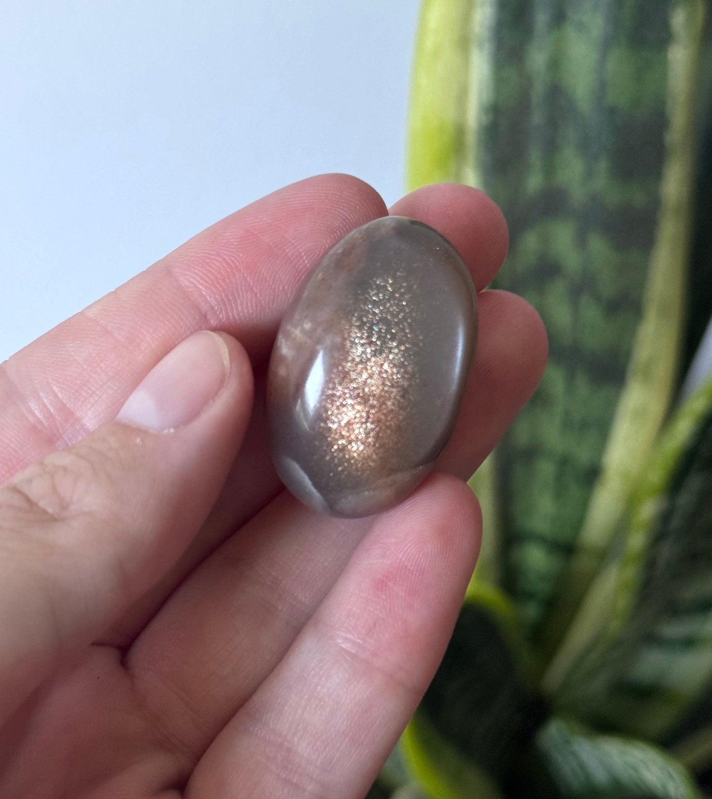 Gorgeous Chocolate Moonstone Shiva with White Flash | Brown Moonstone Oval