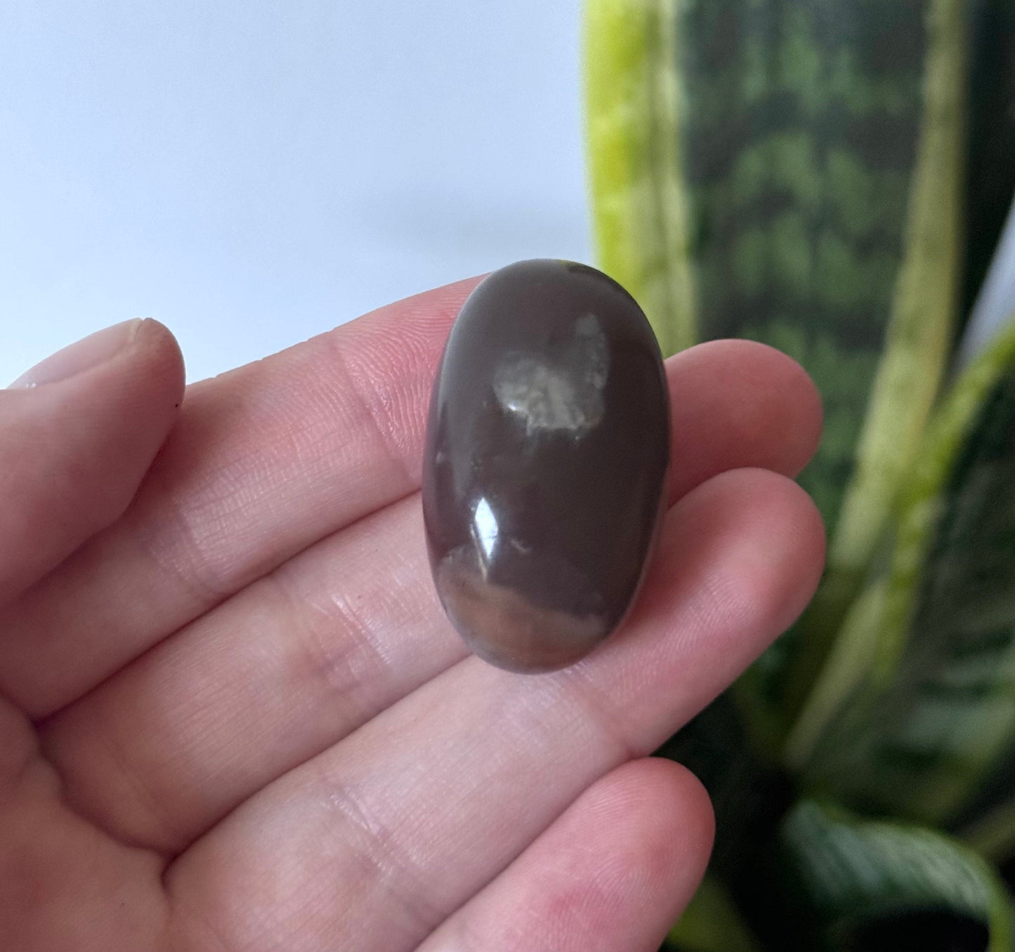 Gorgeous Chocolate Moonstone Shiva with White Flash | Brown Moonstone Oval