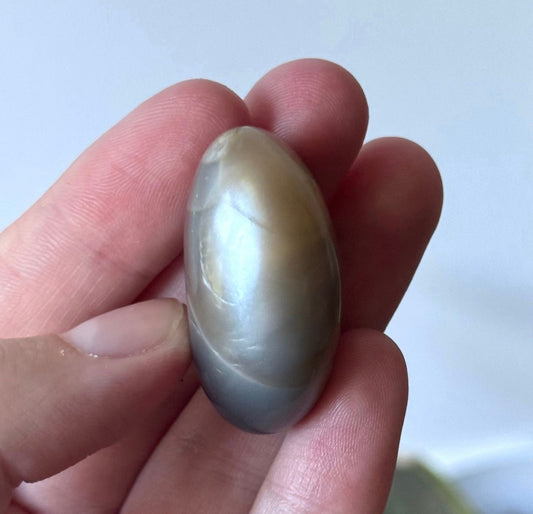 Gorgeous Chocolate Moonstone Shiva with White Flash | Brown Moonstone Oval