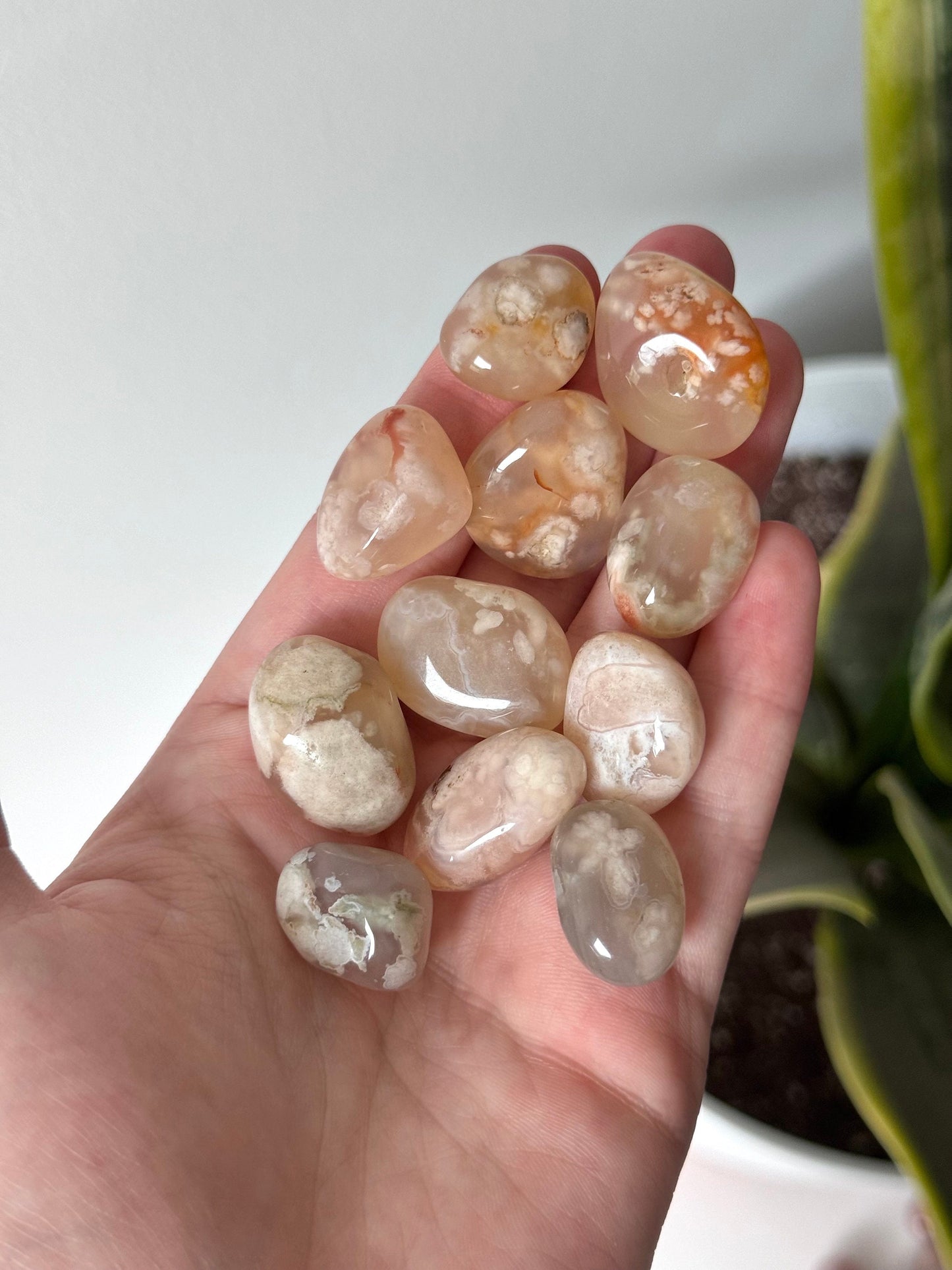 Pretty Flower Agate Tumbled Stones | Small Flower Agate Tumbles
