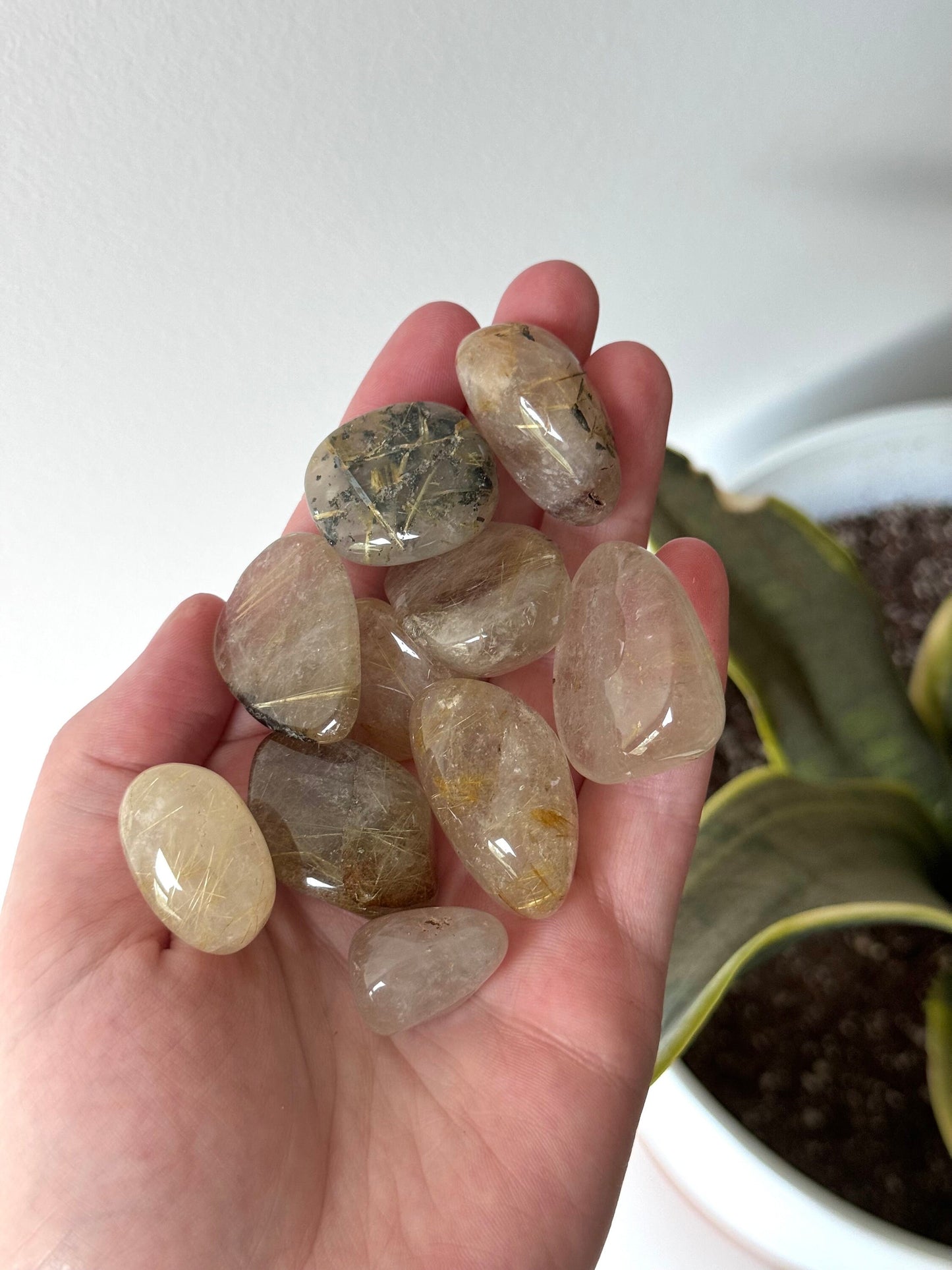 Rutilated Quartz Tumbled Stones | Golden Rutile in Quartz Tumbles