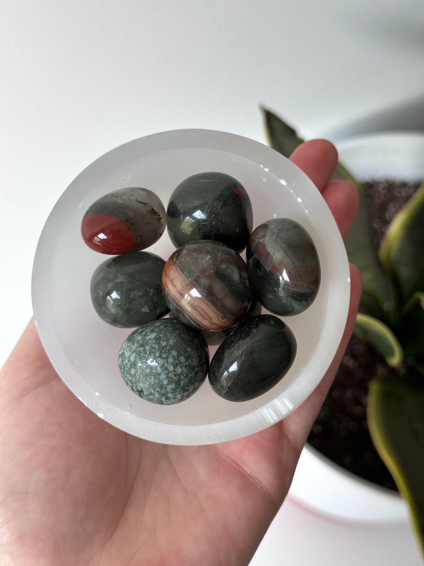 African Blood Stone Jasper Tumbled Stones | Blood Stone Tumbles