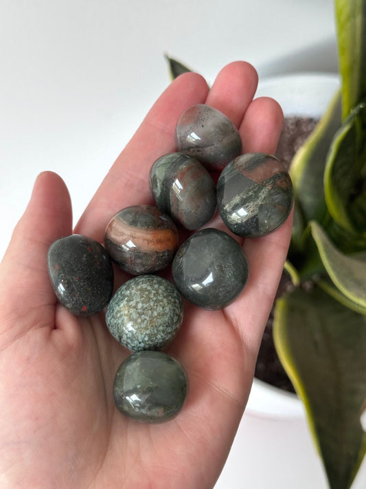 African Blood Stone Jasper Tumbled Stones | Blood Stone Tumbles