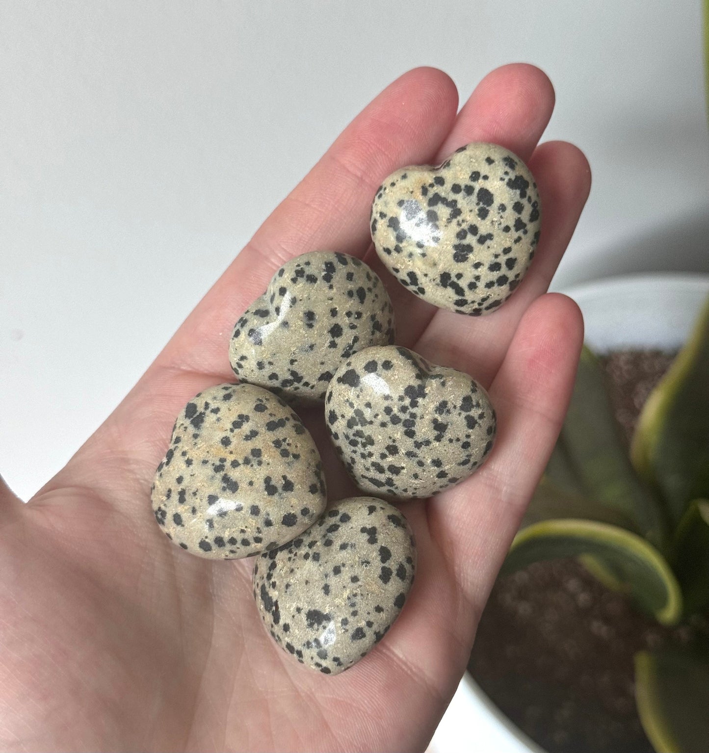 Dalmatian Jasper Heart Carvings 1.5”
