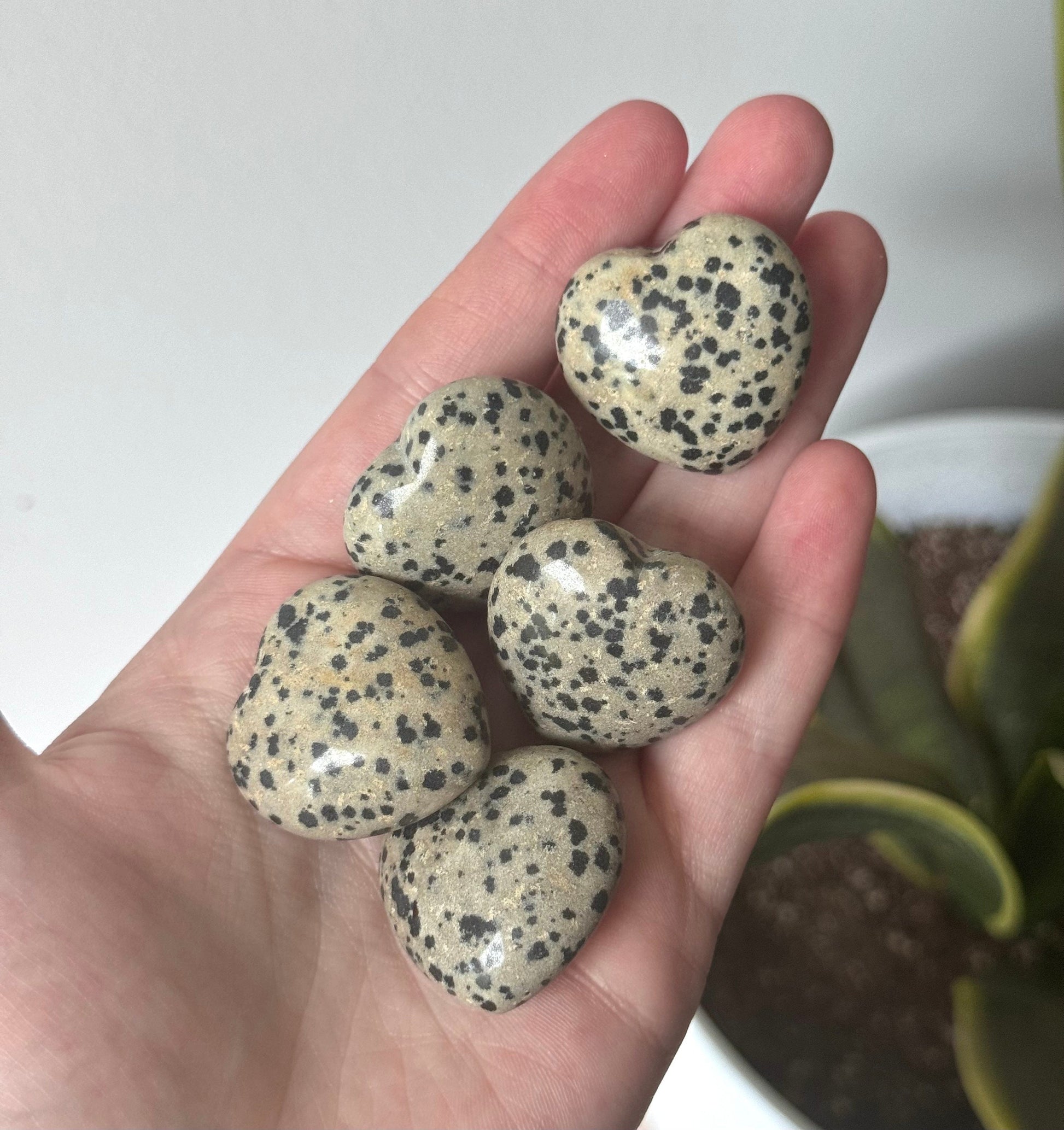 Dalmatian Jasper Heart Carvings 1.5”