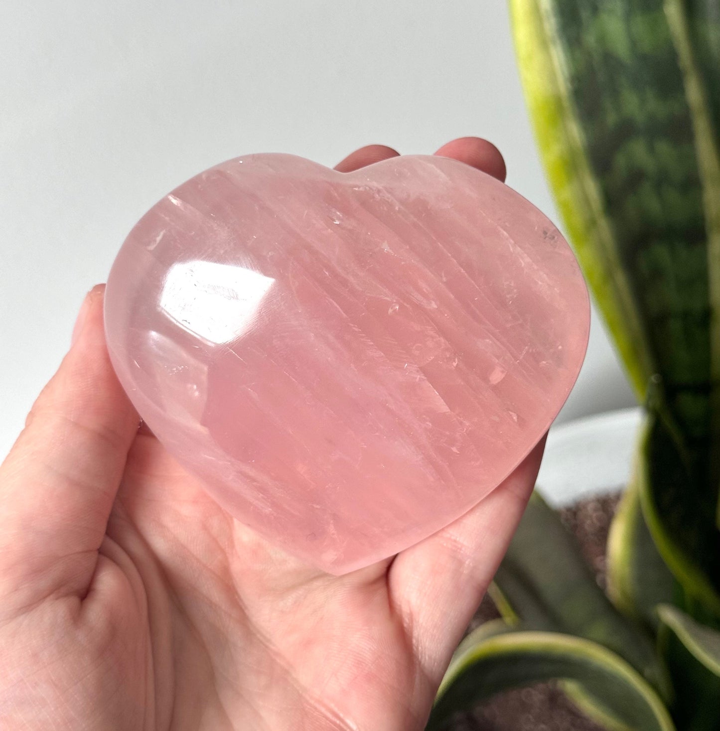 High Quality Rose Quartz Heart Carving with Star Flash | Gemmy Rose Quartz Puffy Heart Asterism
