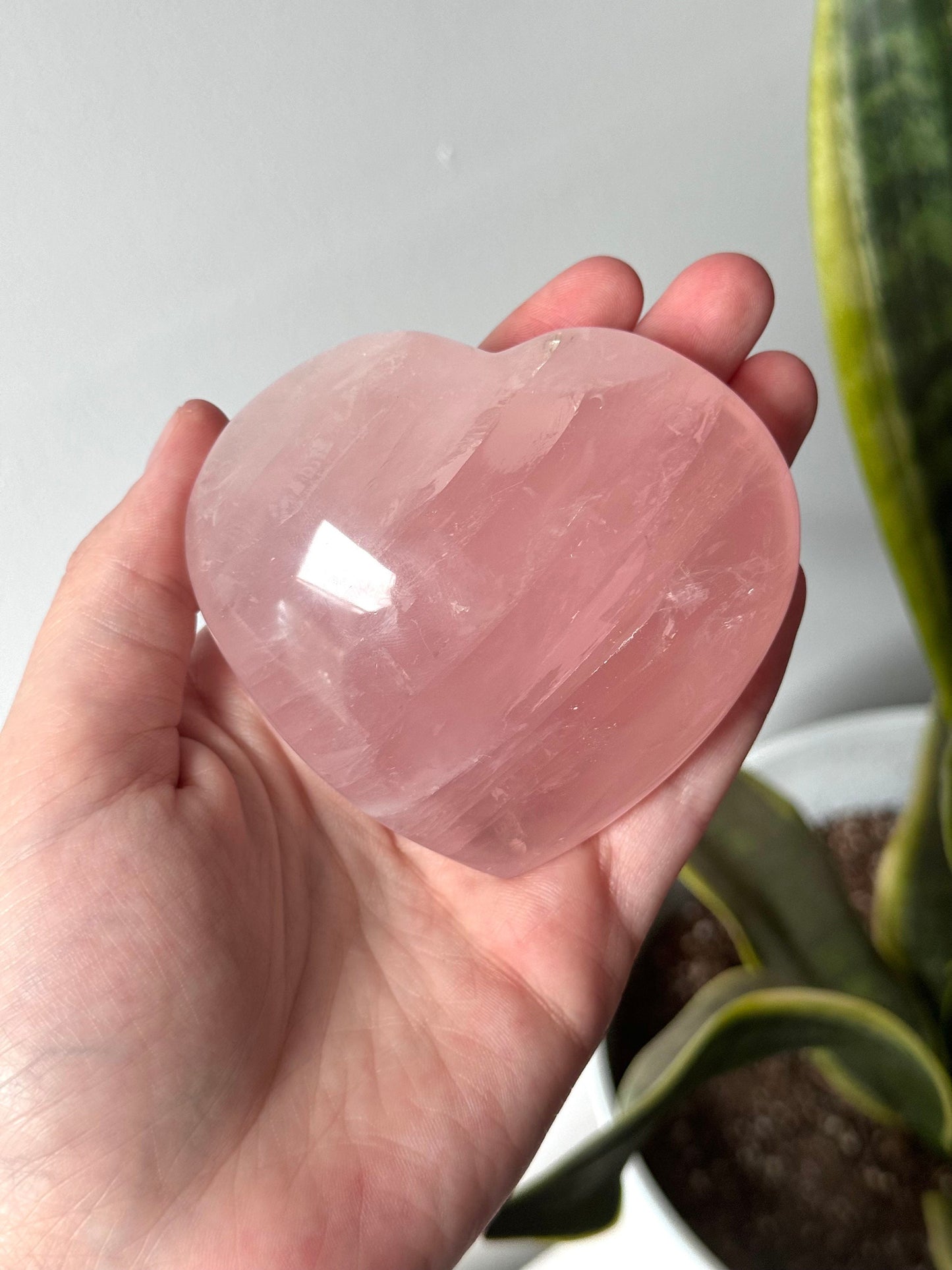 High Quality Rose Quartz Heart Carving with Star Flash | Gemmy Rose Quartz Puffy Heart Asterism