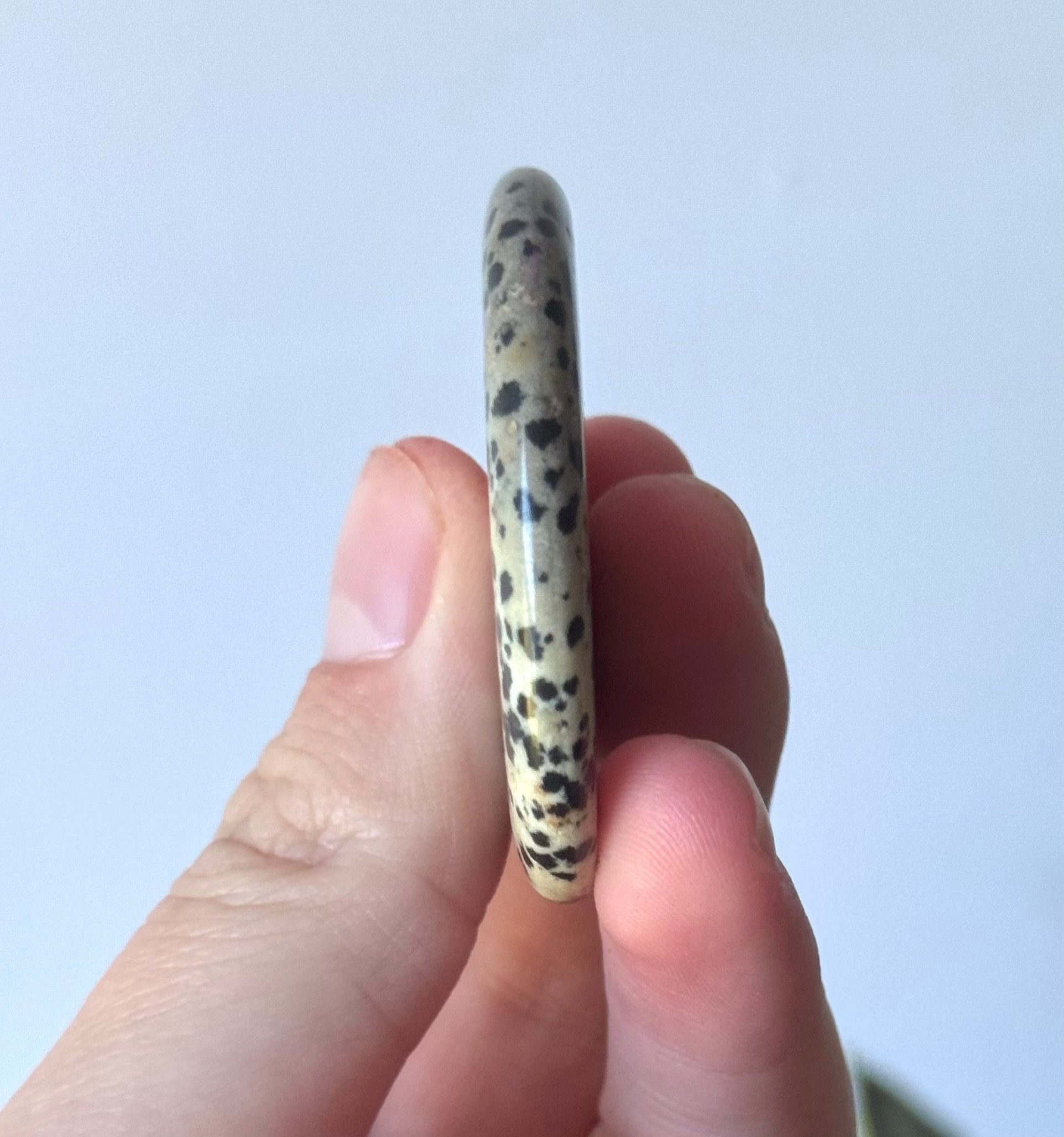 Beautiful Dalmatian Jasper Flat Stone | One Dalmatian Jasper Round Palm Stone Pocket Stone Worry Stone