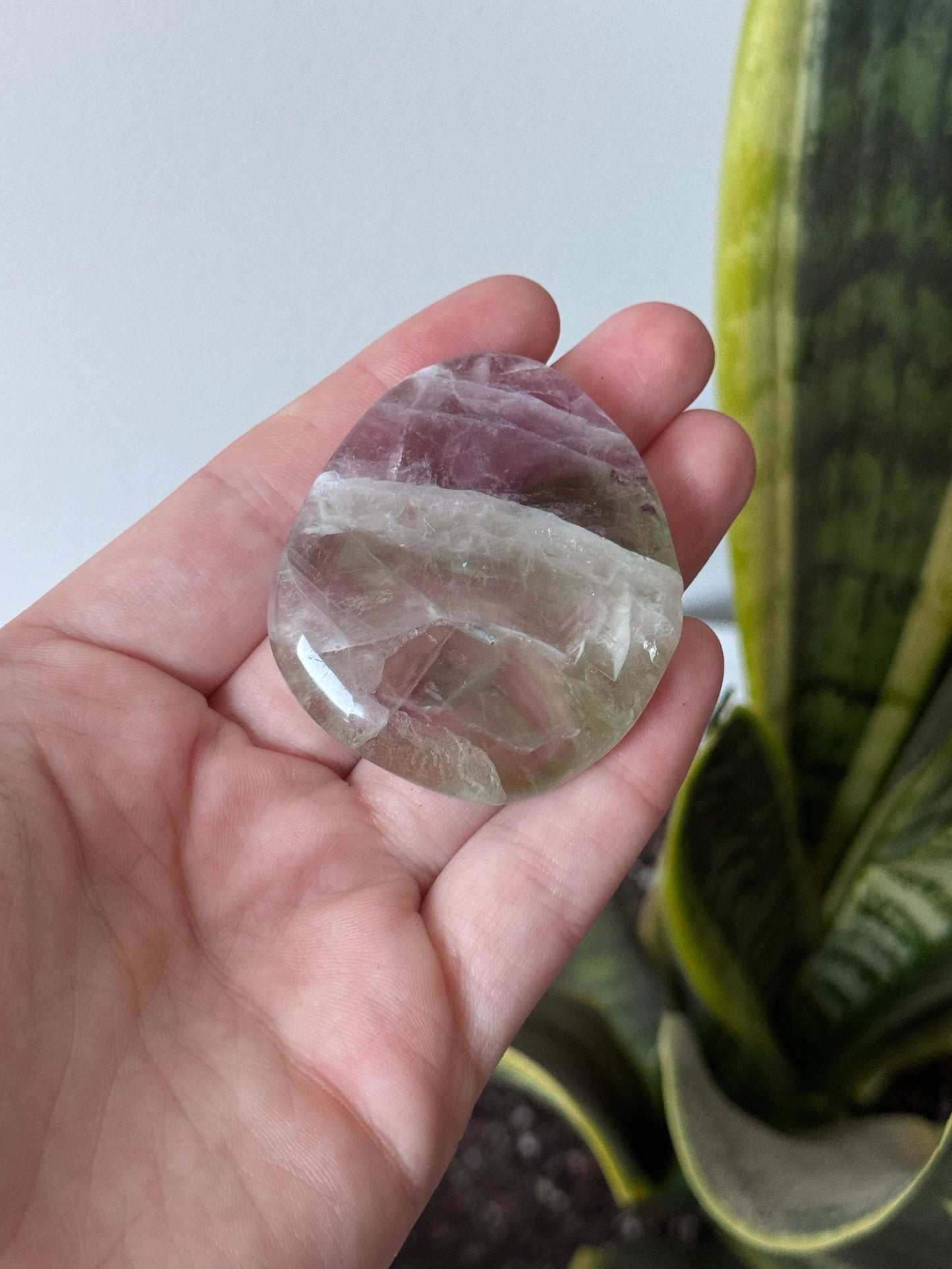 Beautiful Fluorite Flat Stones (You Pick) | Fluorite Round Palmstones